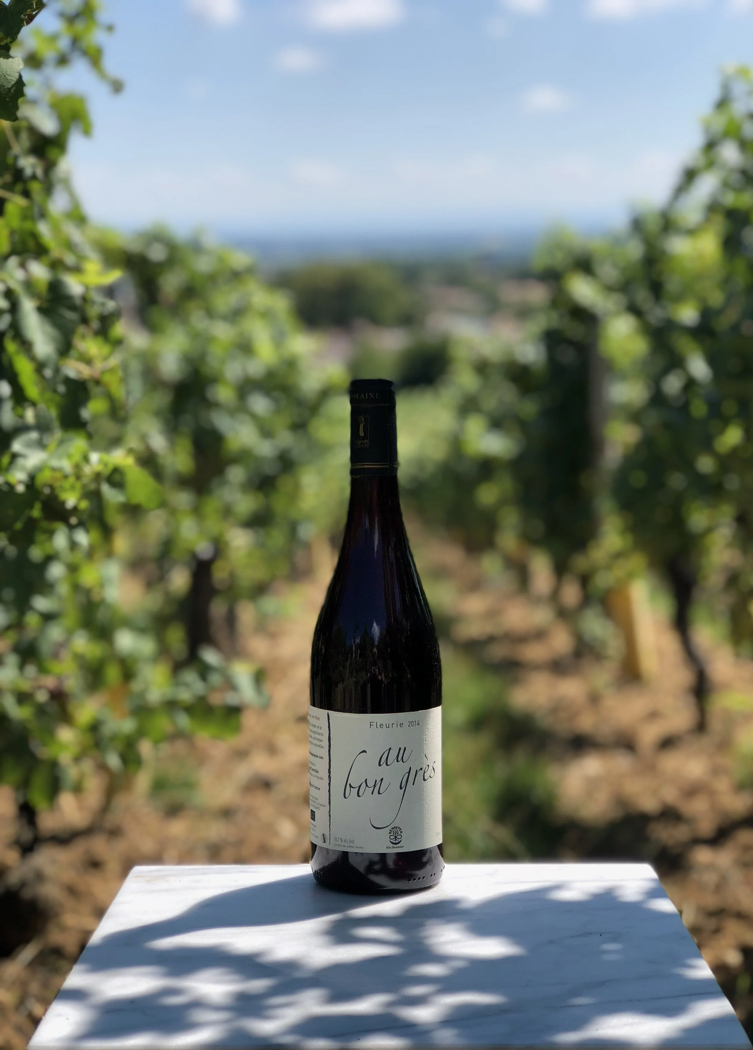 Michel Guignier - Au bon grès, Fleurie 2014