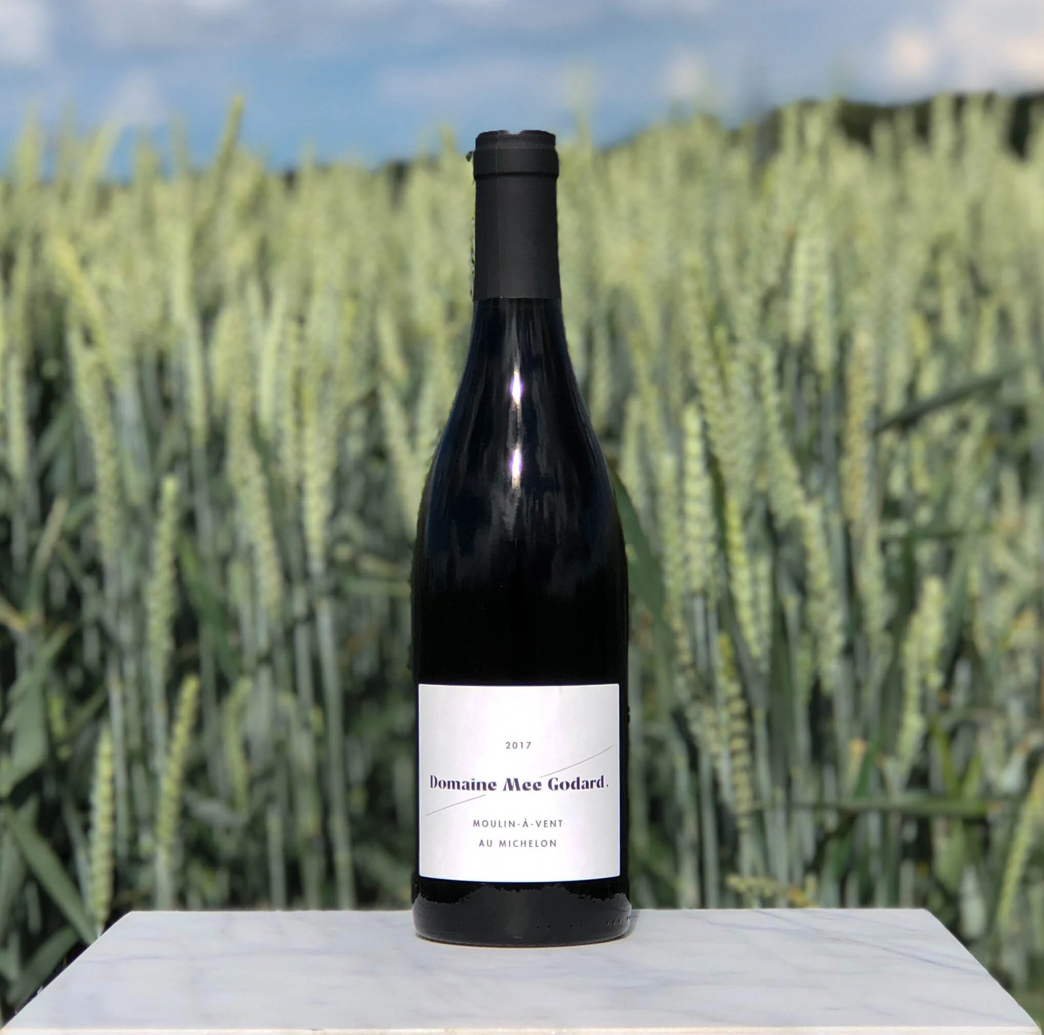 Mee Godard - Moulin à Vent, Aux Michelons 2017