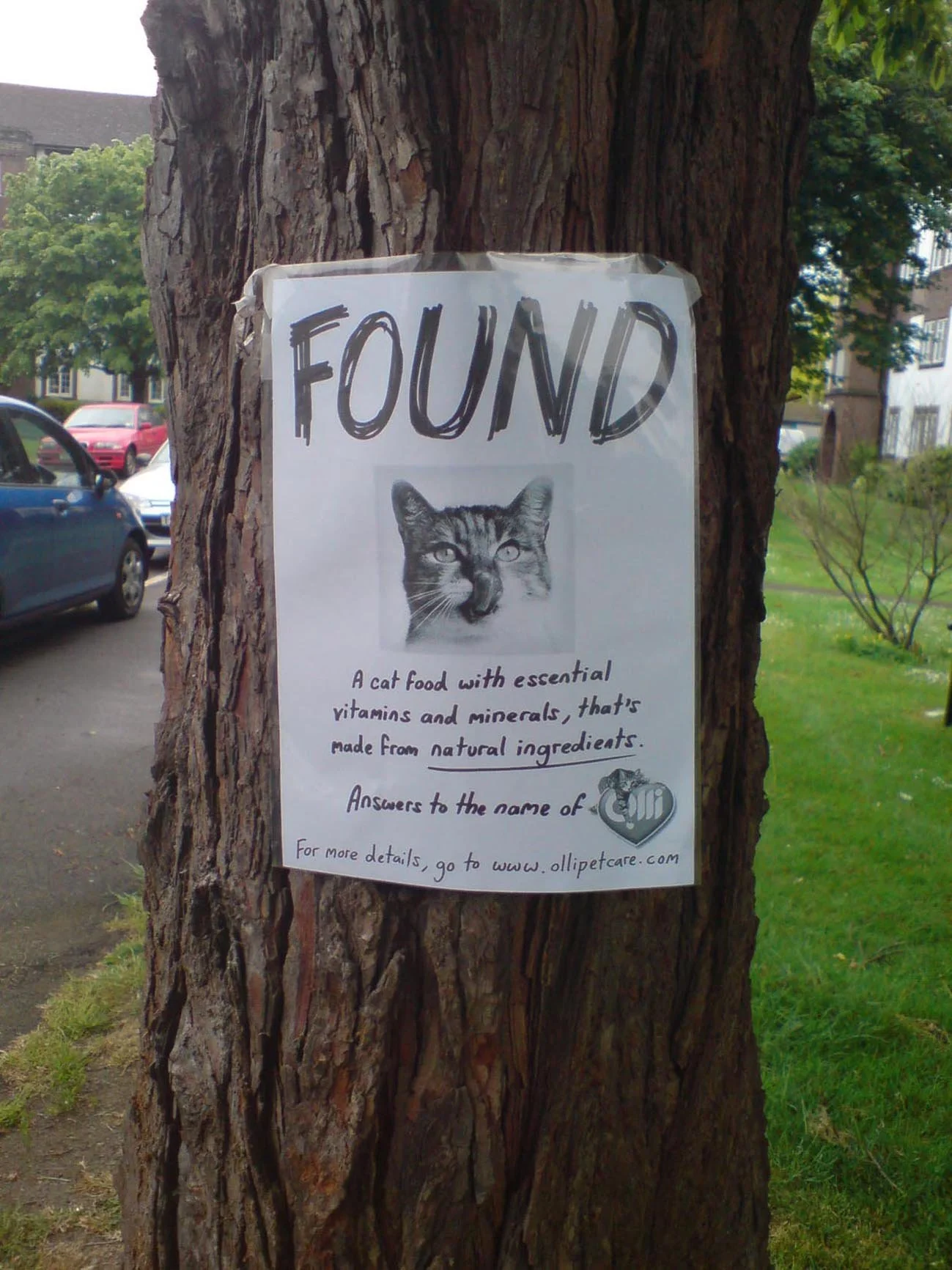 Ambient campaign for Olli Cat Food