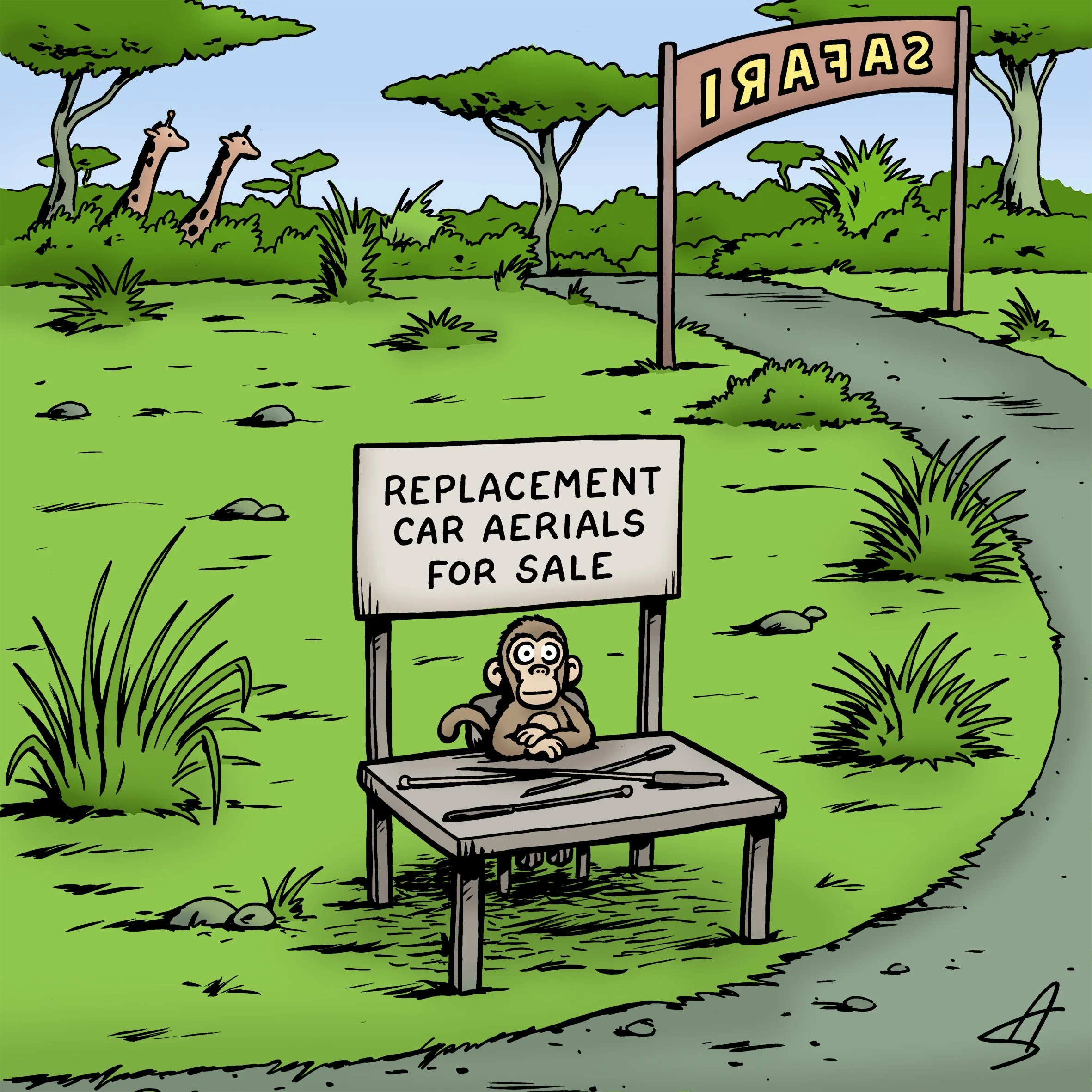 7. Safari Monkey.jpg