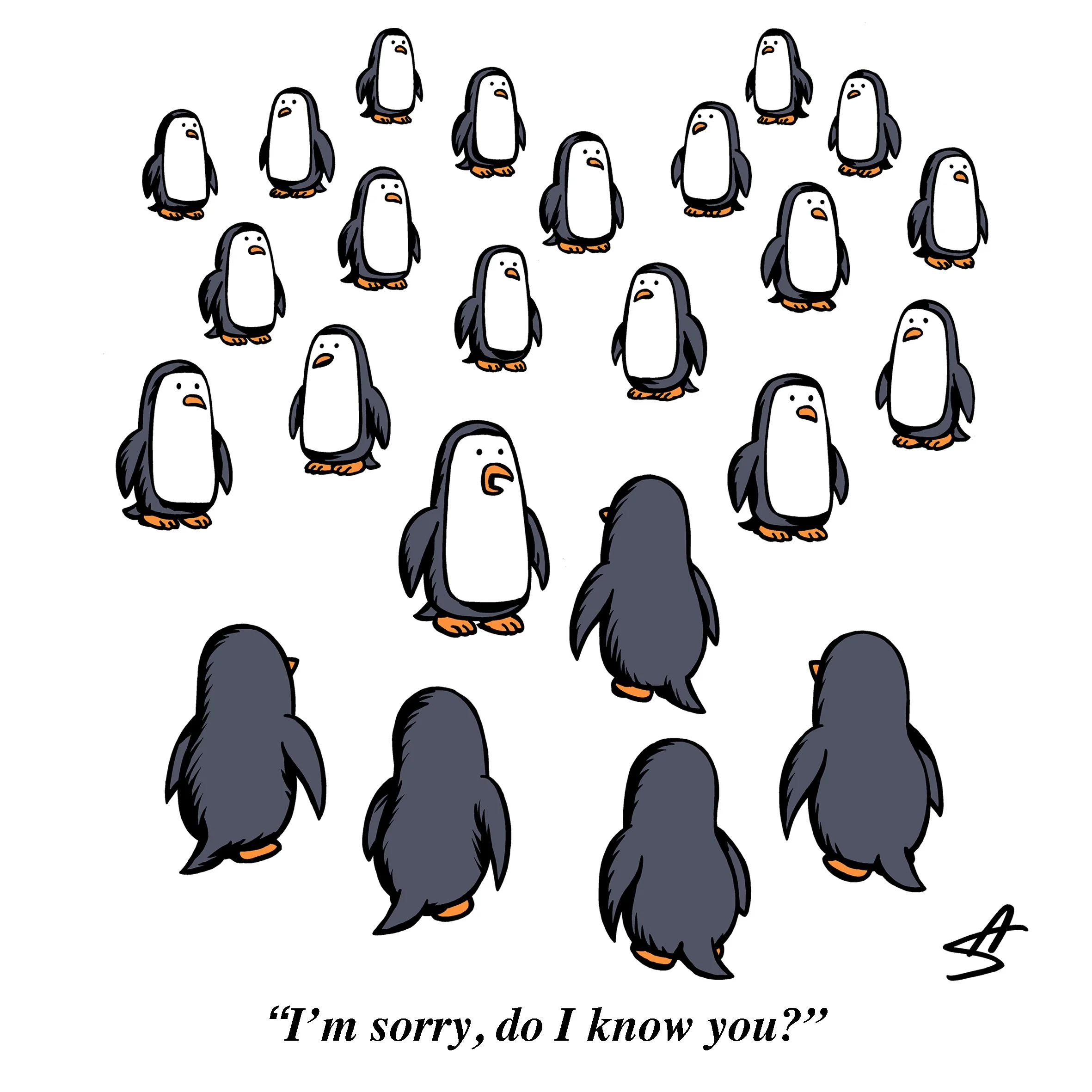 24.Penguin crowd.jpg