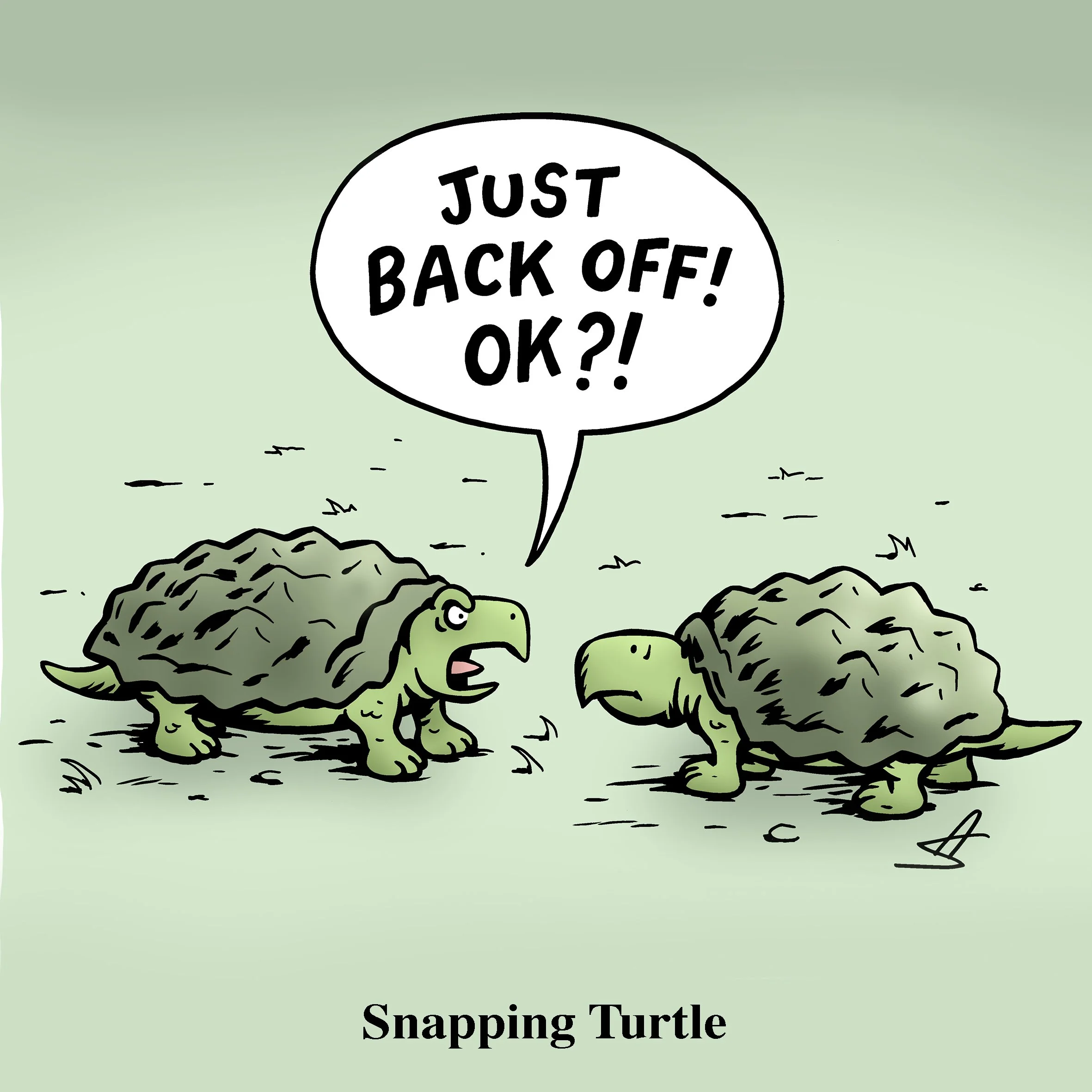 56.Snapping turtle colour.jpg