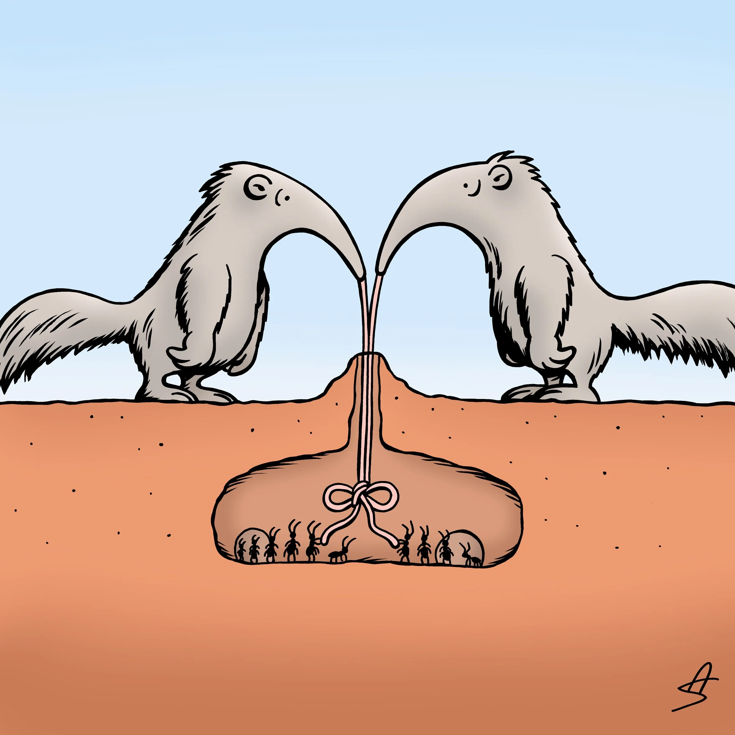 24.jpg