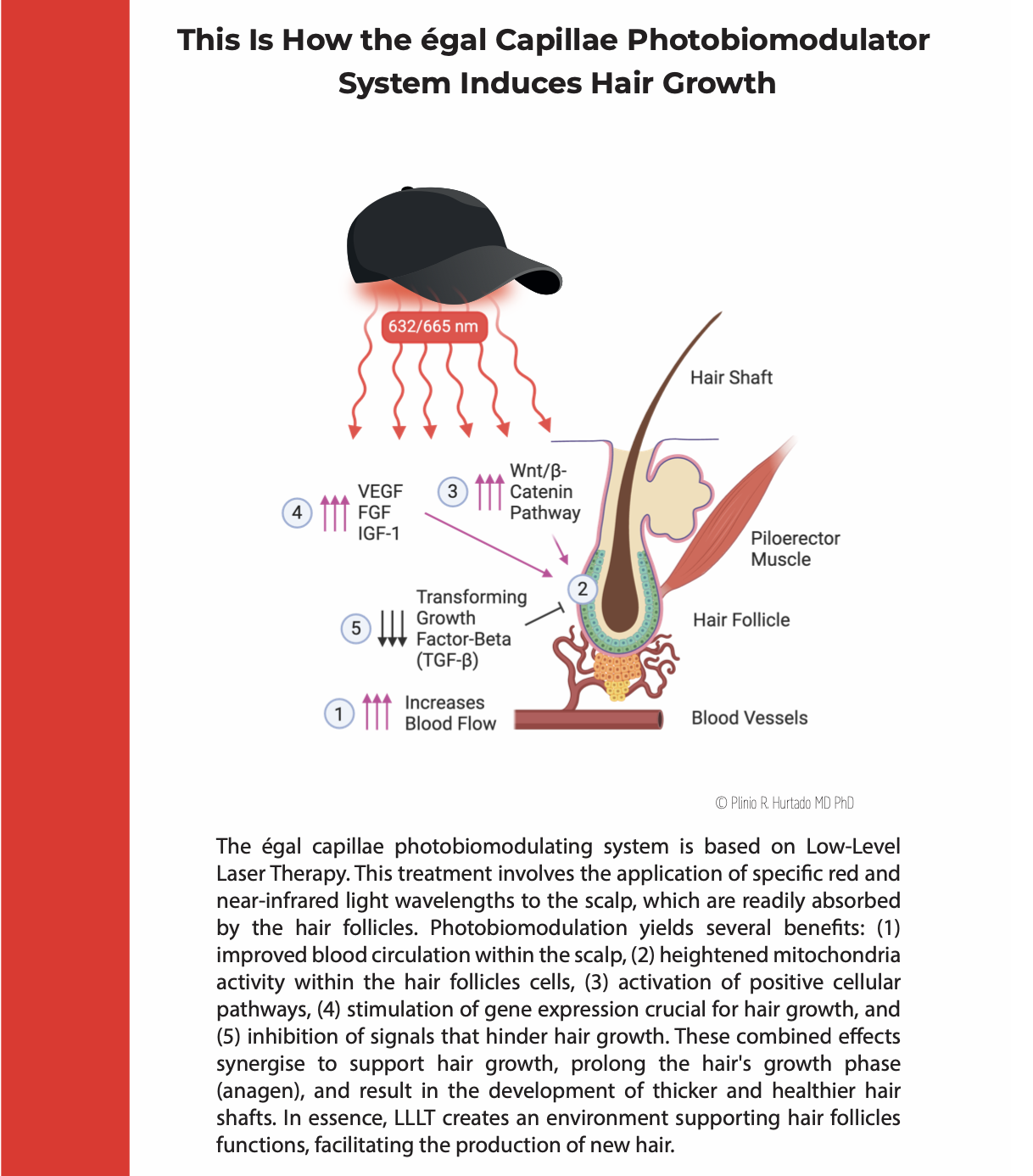 Screenshot 2024-04-30 at 8.52.35 am.png