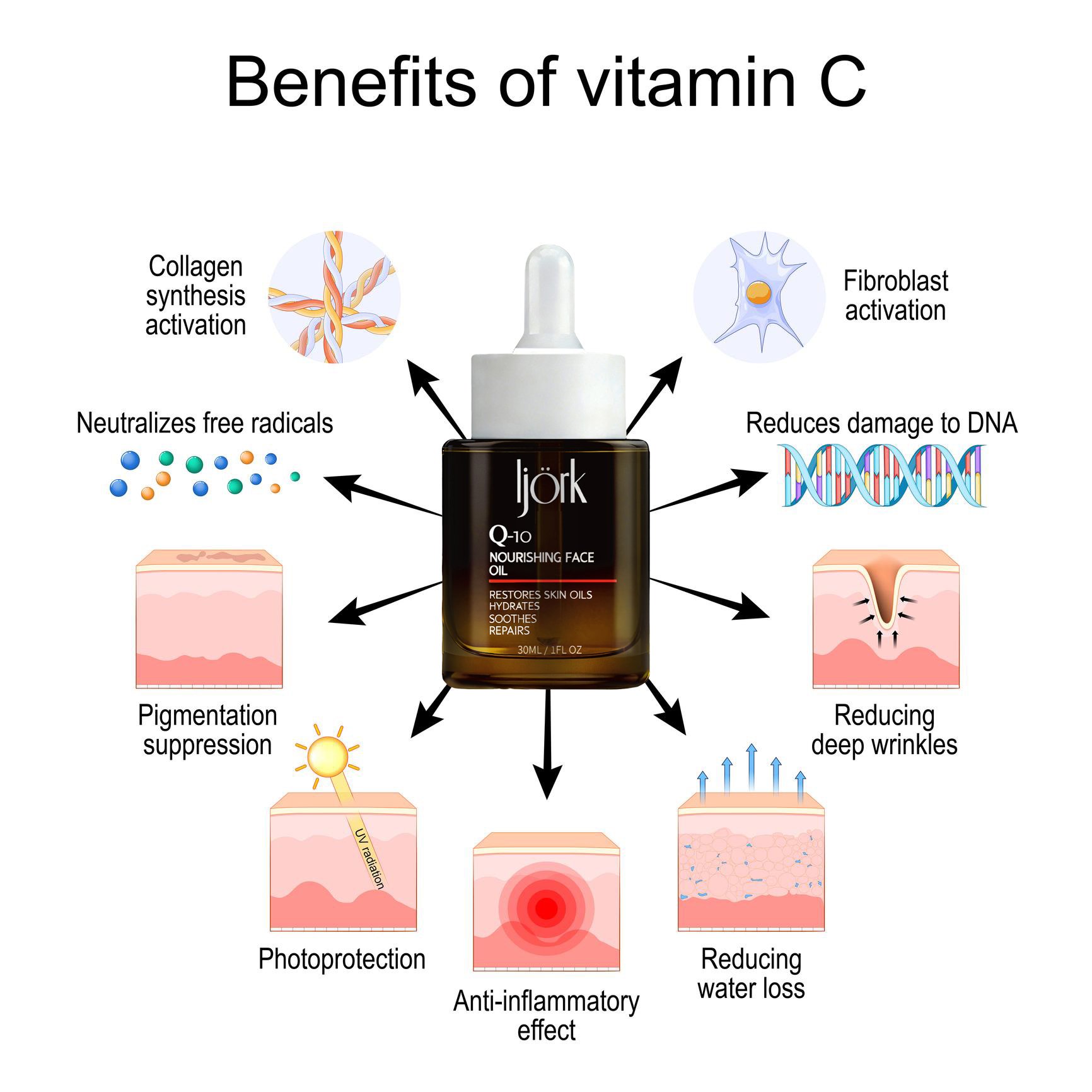 Biological Benefits of Vitamin C in Skin