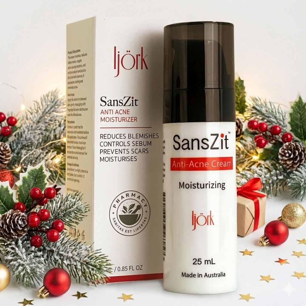 SansZit Christmas.png