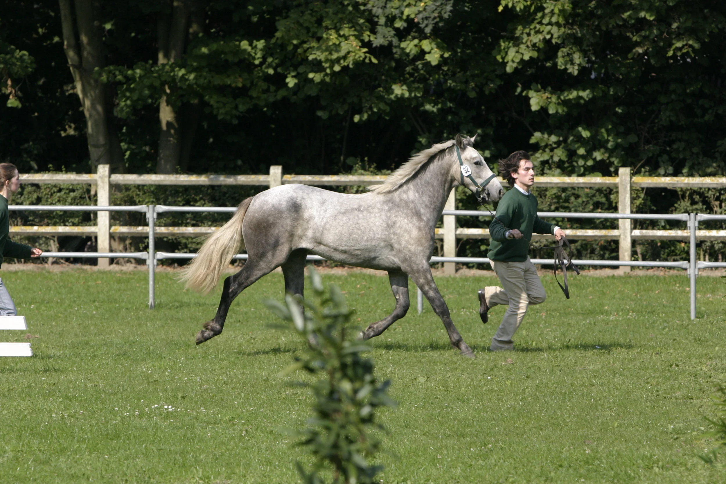conn.show2008 129.JPG