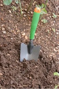 trowel-1-199x300.jpg