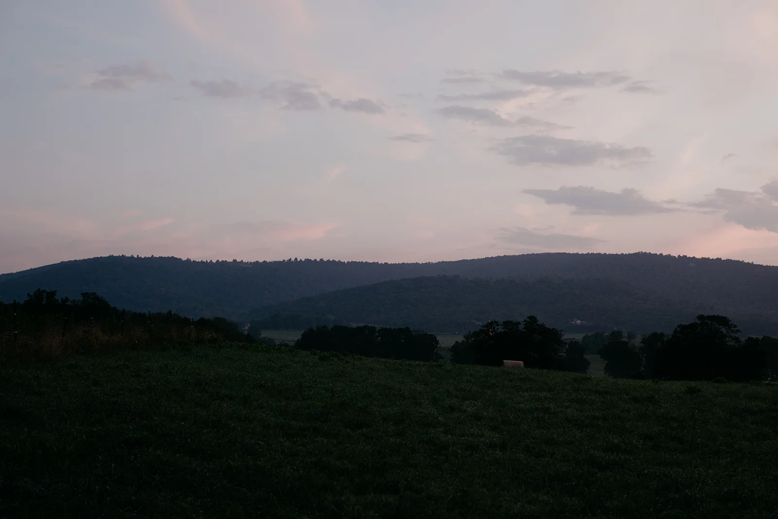 DN2A4228.jpg