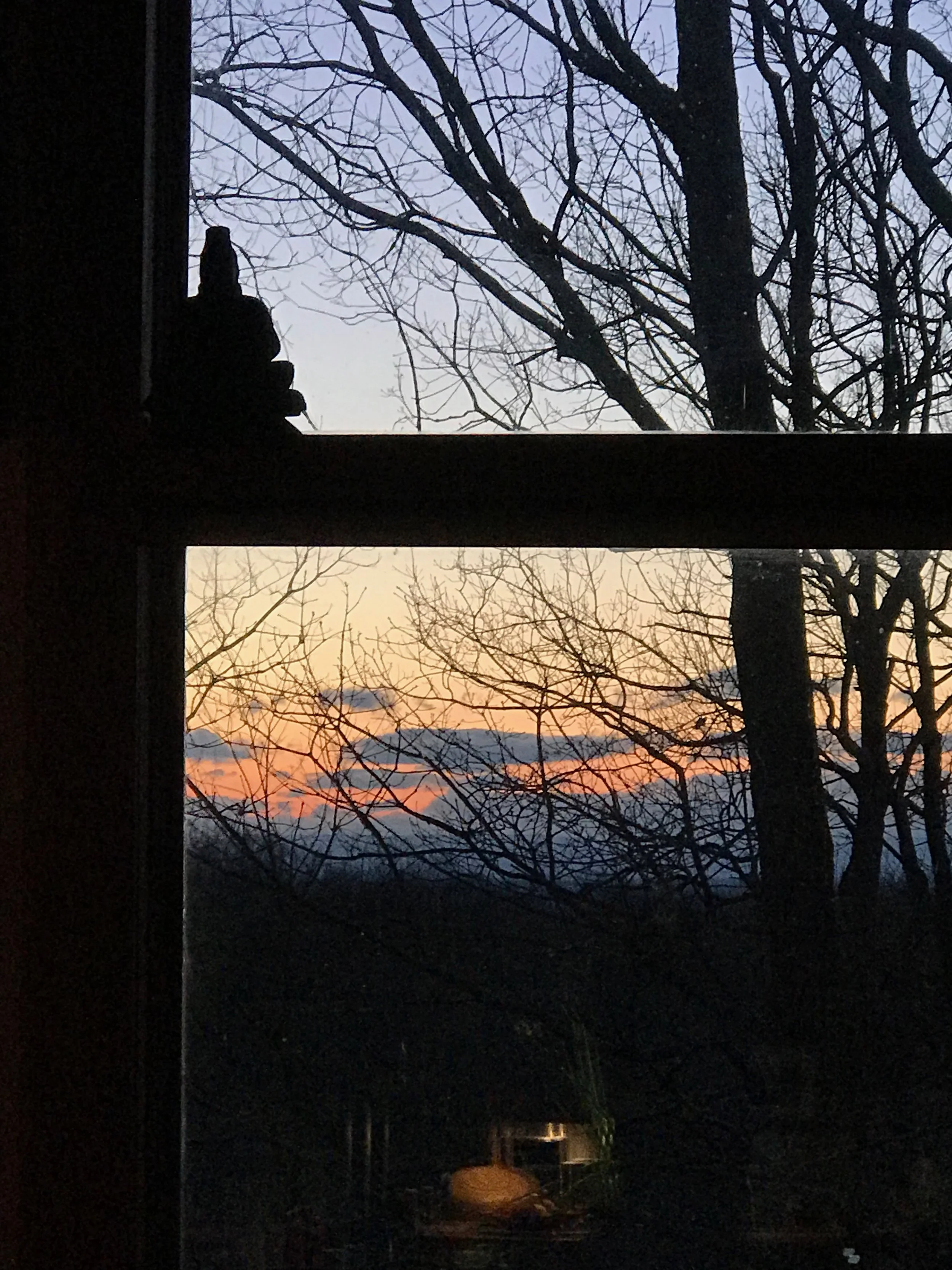 IMG_1291.jpeg