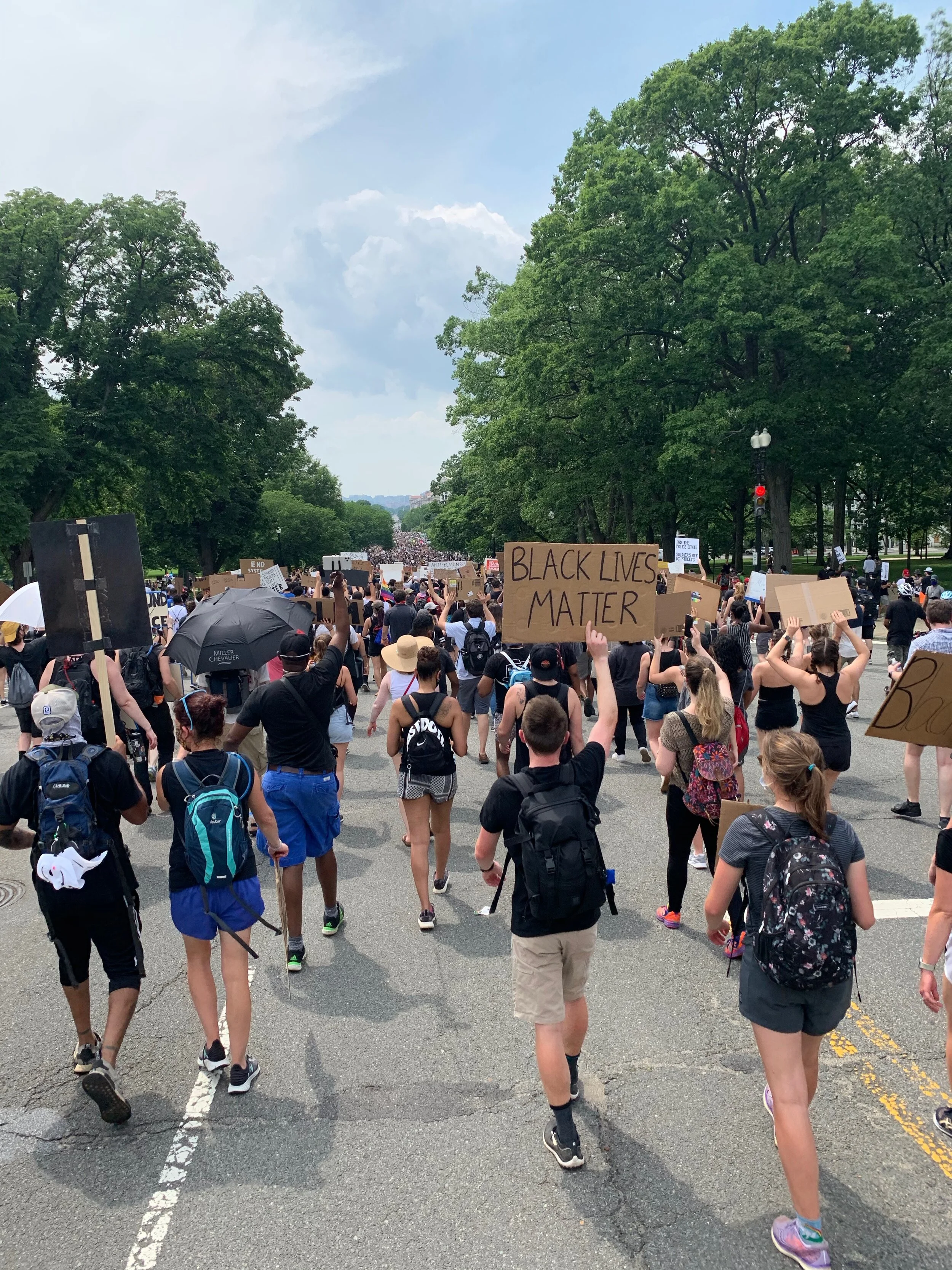 We Make the Path By Walking