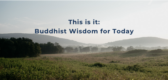 This is It: Buddhist Wisdom for Today