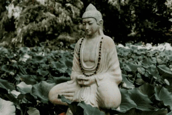 Don’t Scratch; Feel the Itch. Why we Seek Distraction &amp; How to Stop.