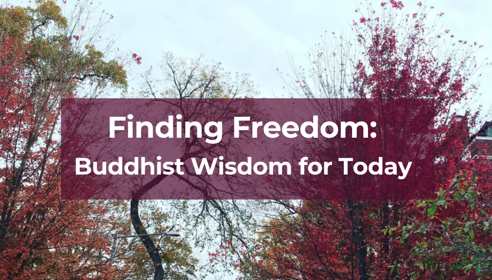 Finding Freedom:  Buddhist Wisdom for Today