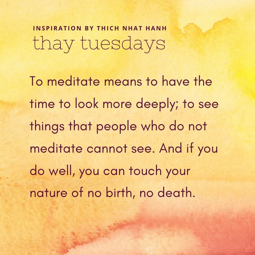 &quot;To meditate means to have the time to look more deeply; to see things that people who do not meditate cannot see. And if you do well, you can touch your nature of no birth, no death.&quot;

&mdash; Thich Nhat Hanh

image description: quote abov
