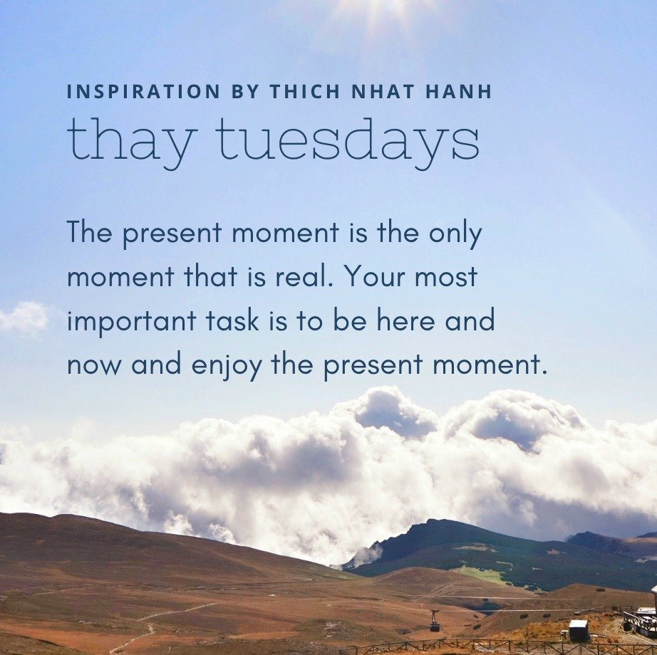 &quot;The present moment is the only moment that is real. Your most important task is to be here and now and enjoy the present moment.&quot;

&mdash; Thich Nhat Hanh

image description: quote above over an image of a layer of clouds hovering over mou