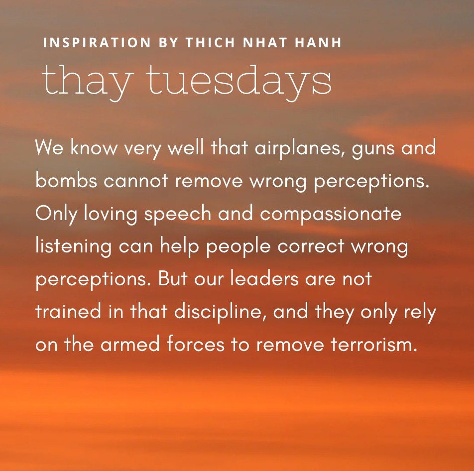 &quot;We know very well that airplanes, guns and bombs cannot remove wrong perceptions. Only loving speech and compassionate listening can help people correct wrong perceptions. But our leaders are not trained in that discipline, and they only rely o