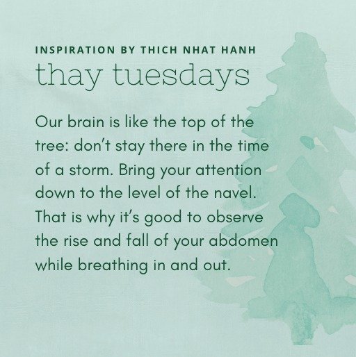 &quot;Our brain is like the top of the tree: don&rsquo;t stay there in the time of a storm. Bring your attention down to the level of the navel. That is why it&rsquo;s good to observe the rise and fall of your abdomen while breathing in and out.&quot