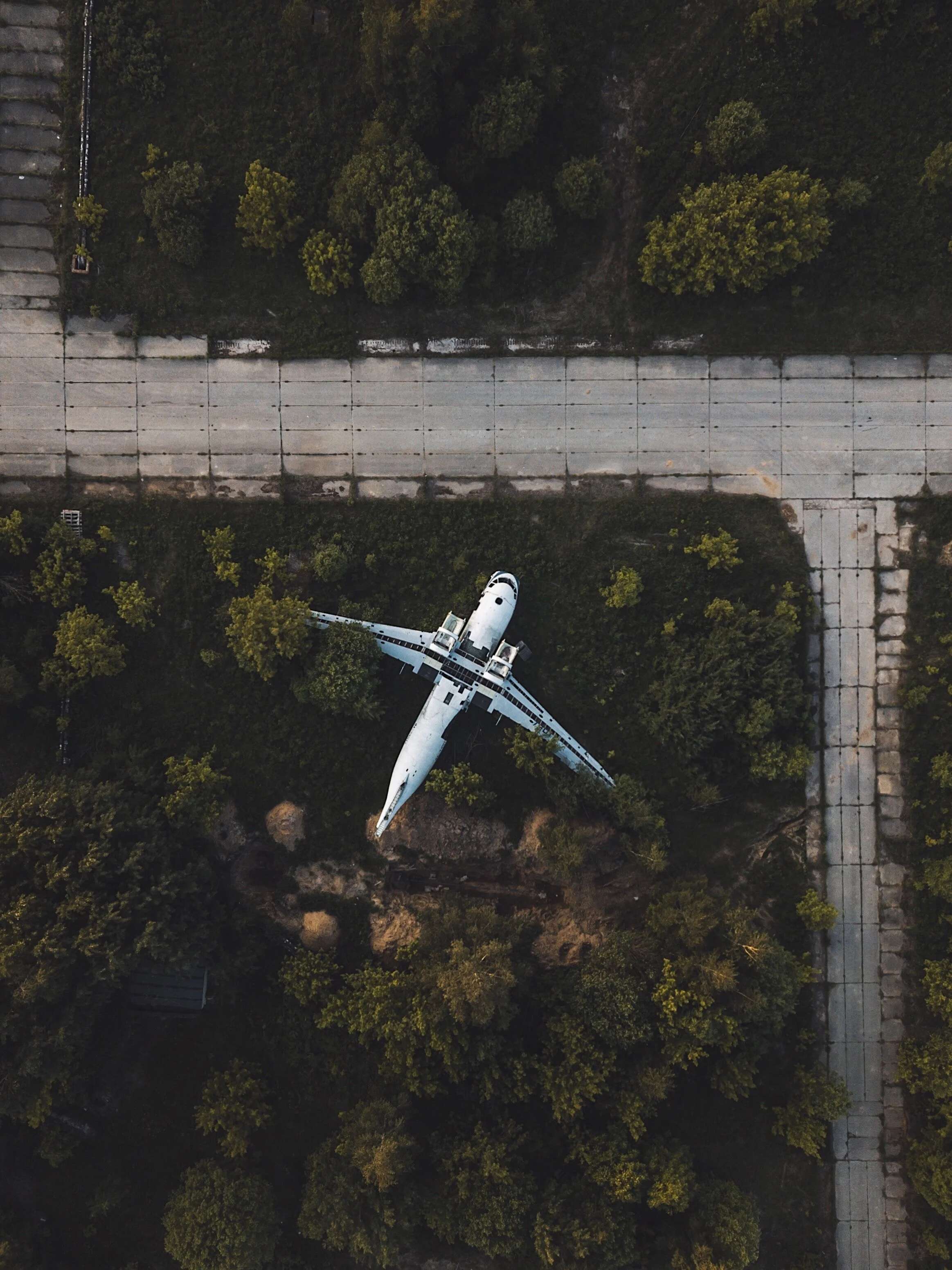 natalya-letunova-P8-N5EyFGWY-unsplash.jpg