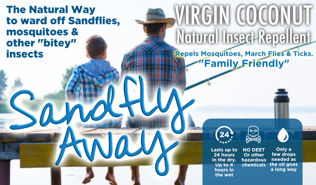 sanflyaway-banner-r2.jpg