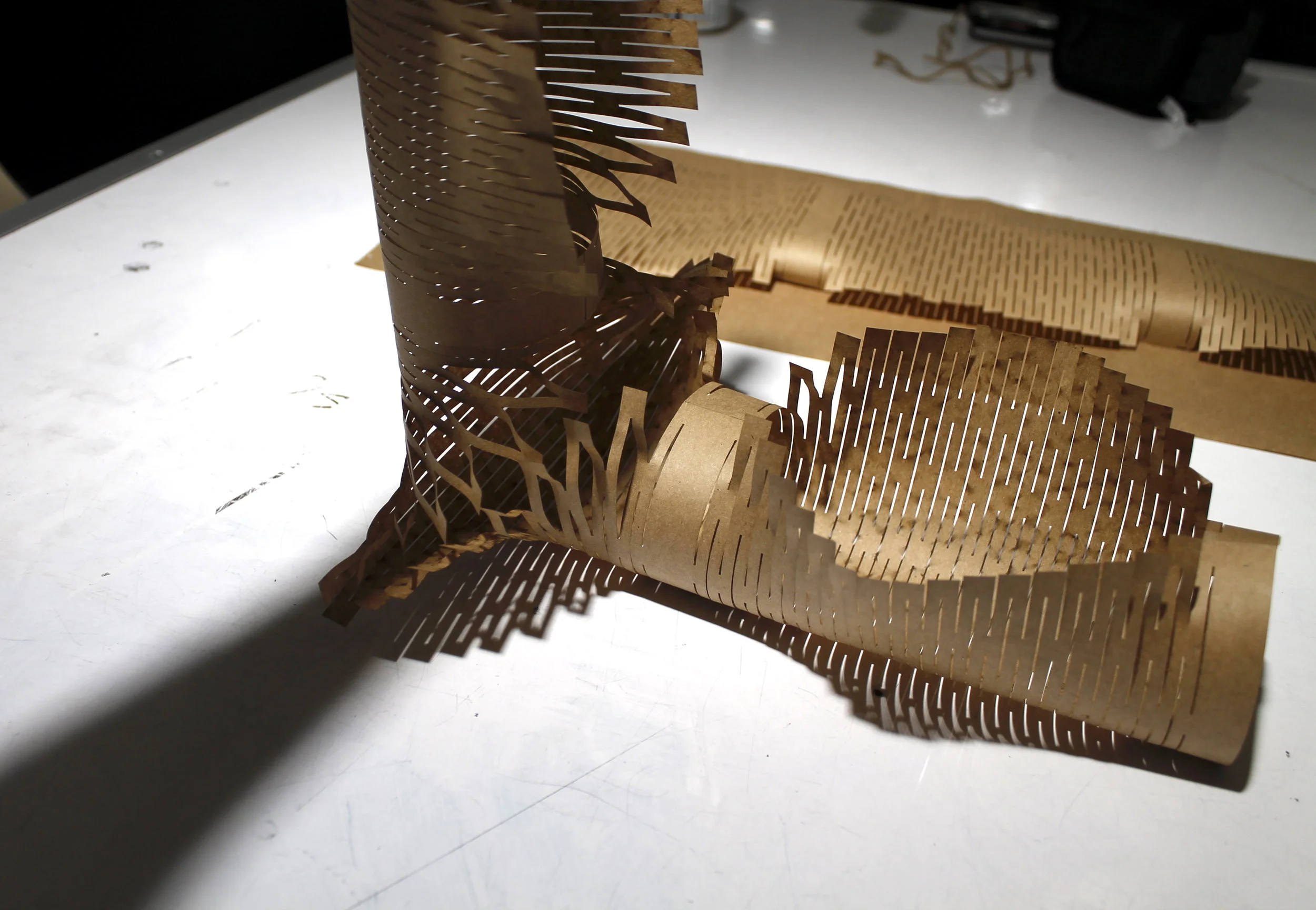 3D sketch for net hood