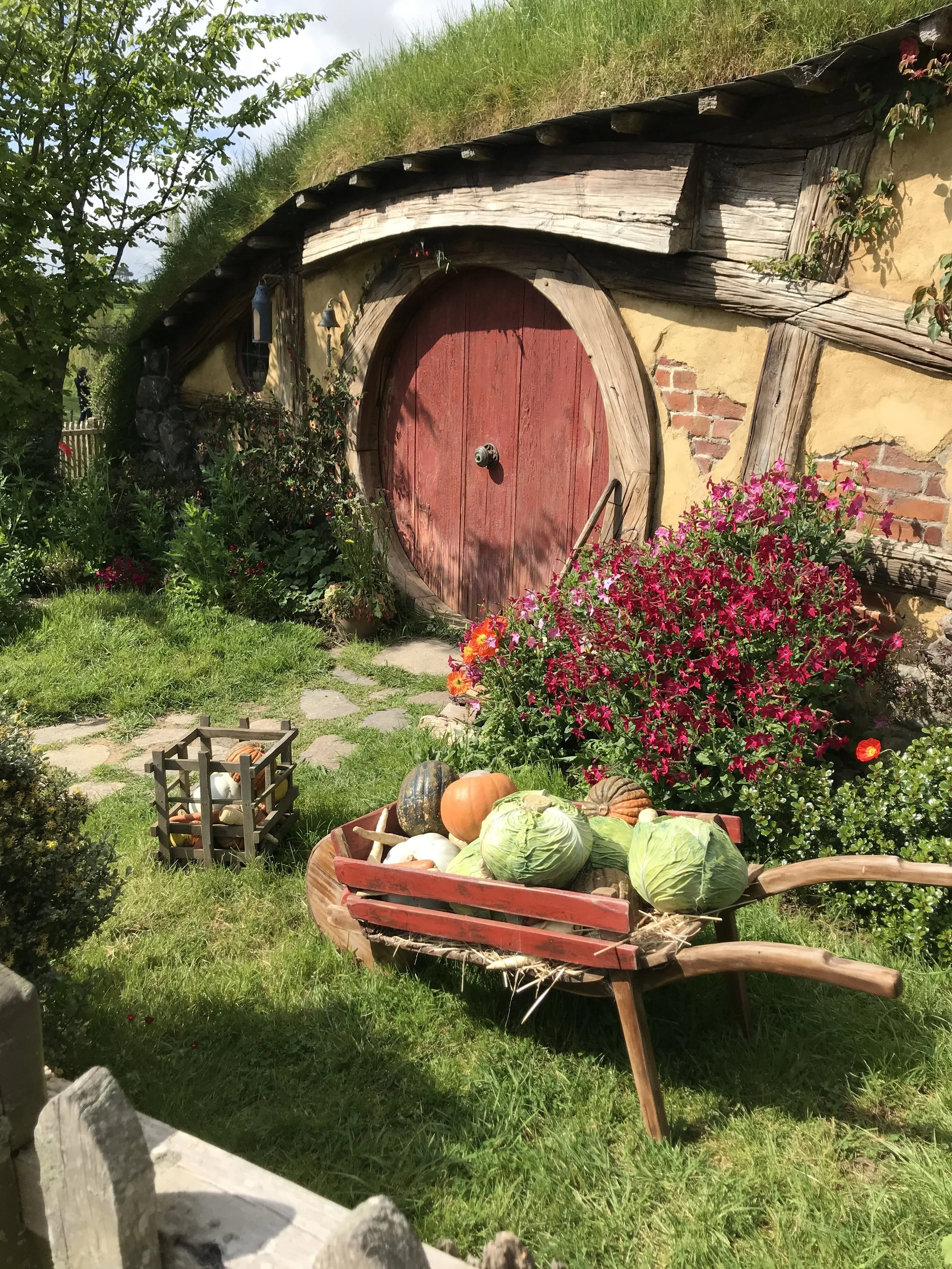 Day 24:  Hobbiton