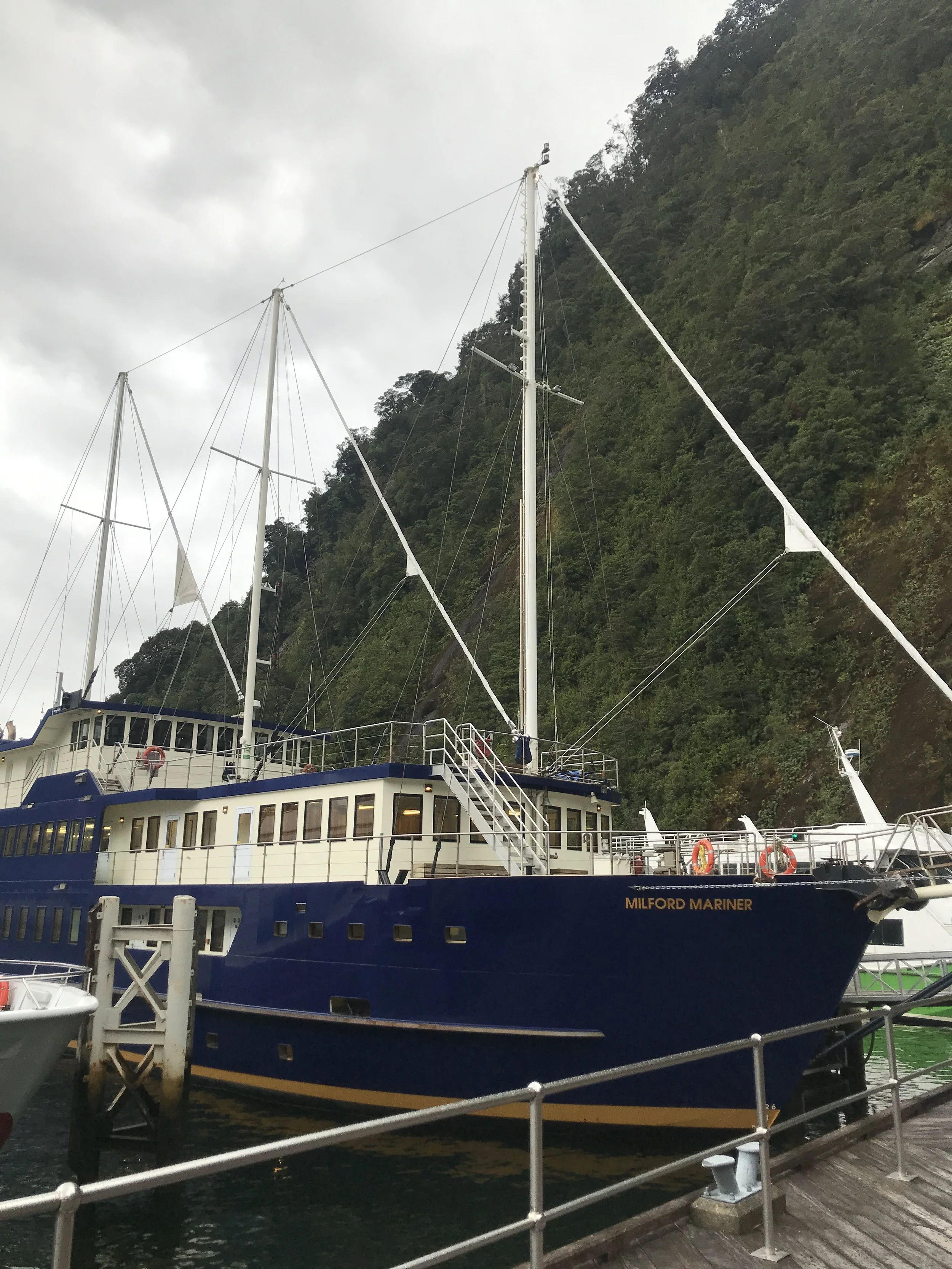 Day 10:  Queenstown - Milford Sound