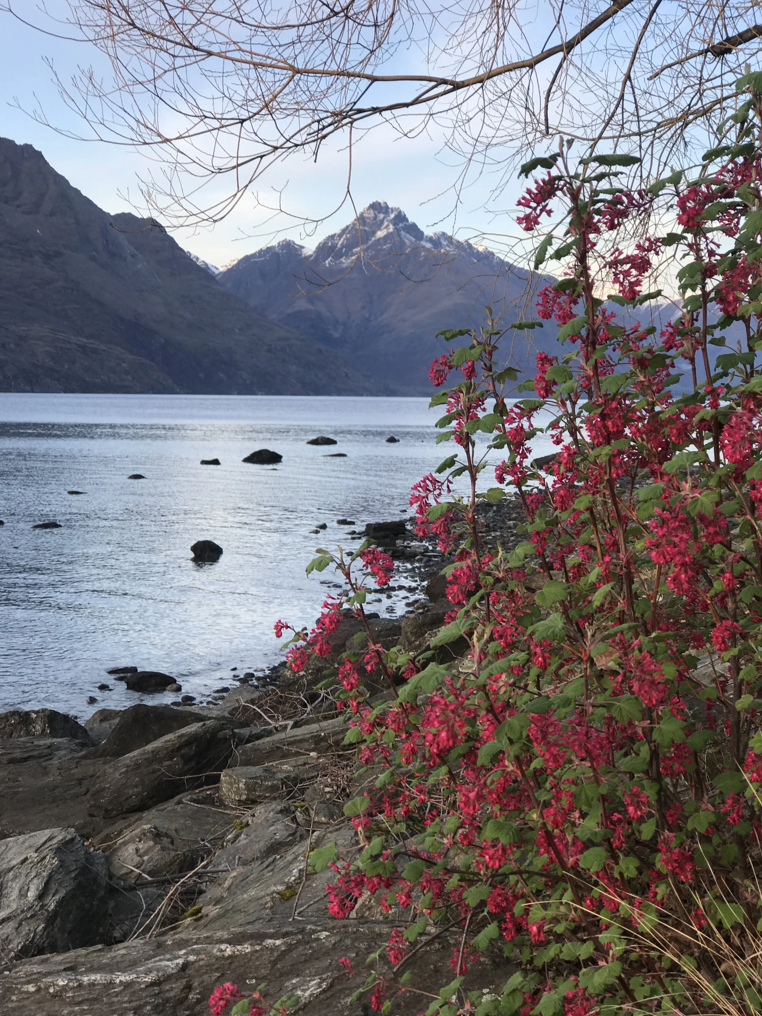 Day 9:  Queenstown