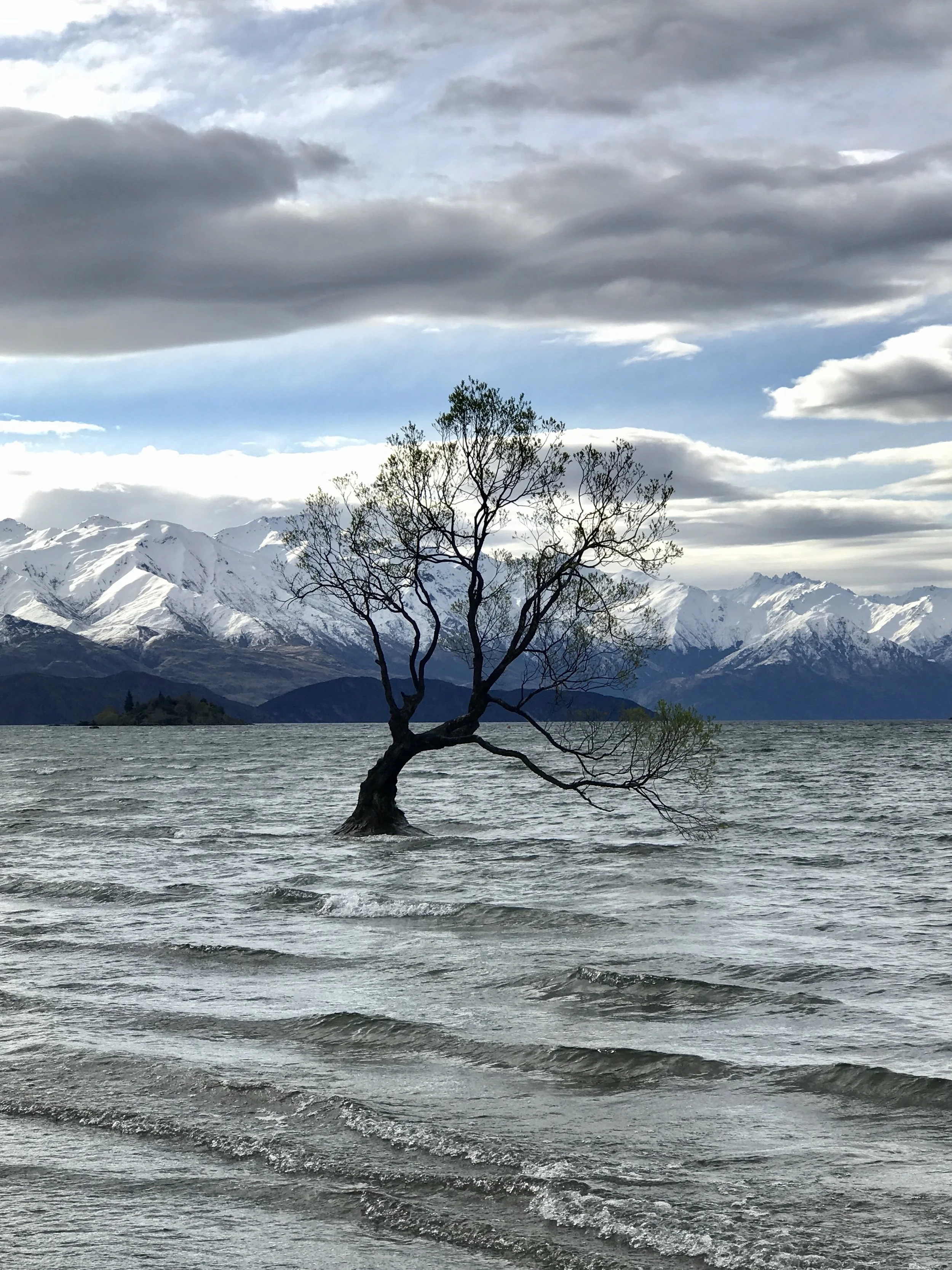 Day 7:  Frans Josef - Wanaka
