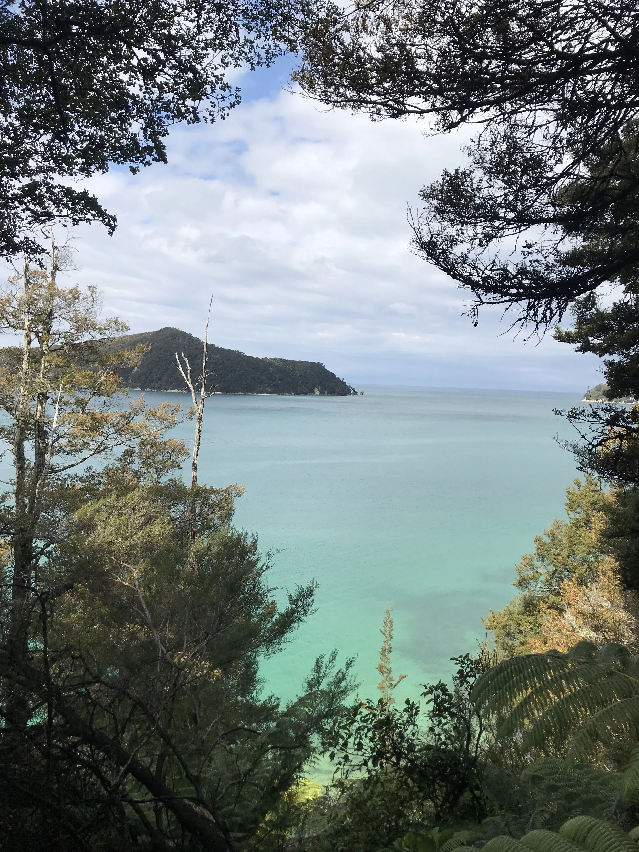 Day 3:  Abel Tasman Coast Track