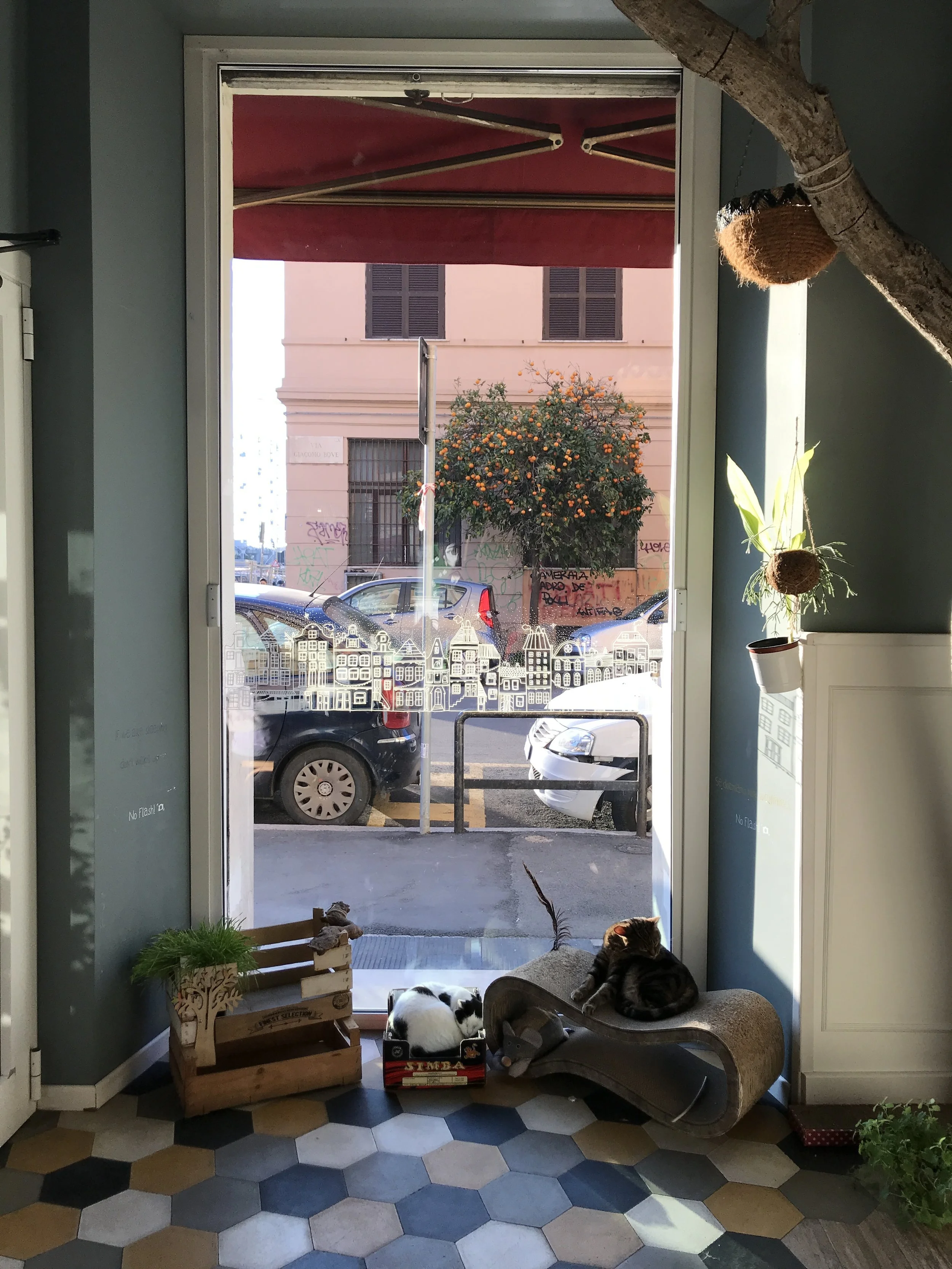 Rome:  Romeow Cat Bistrot