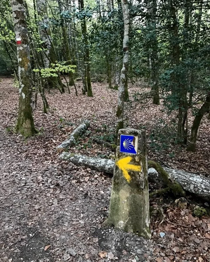 Day 2:  Roncesvalles - Zubiri, 22km.