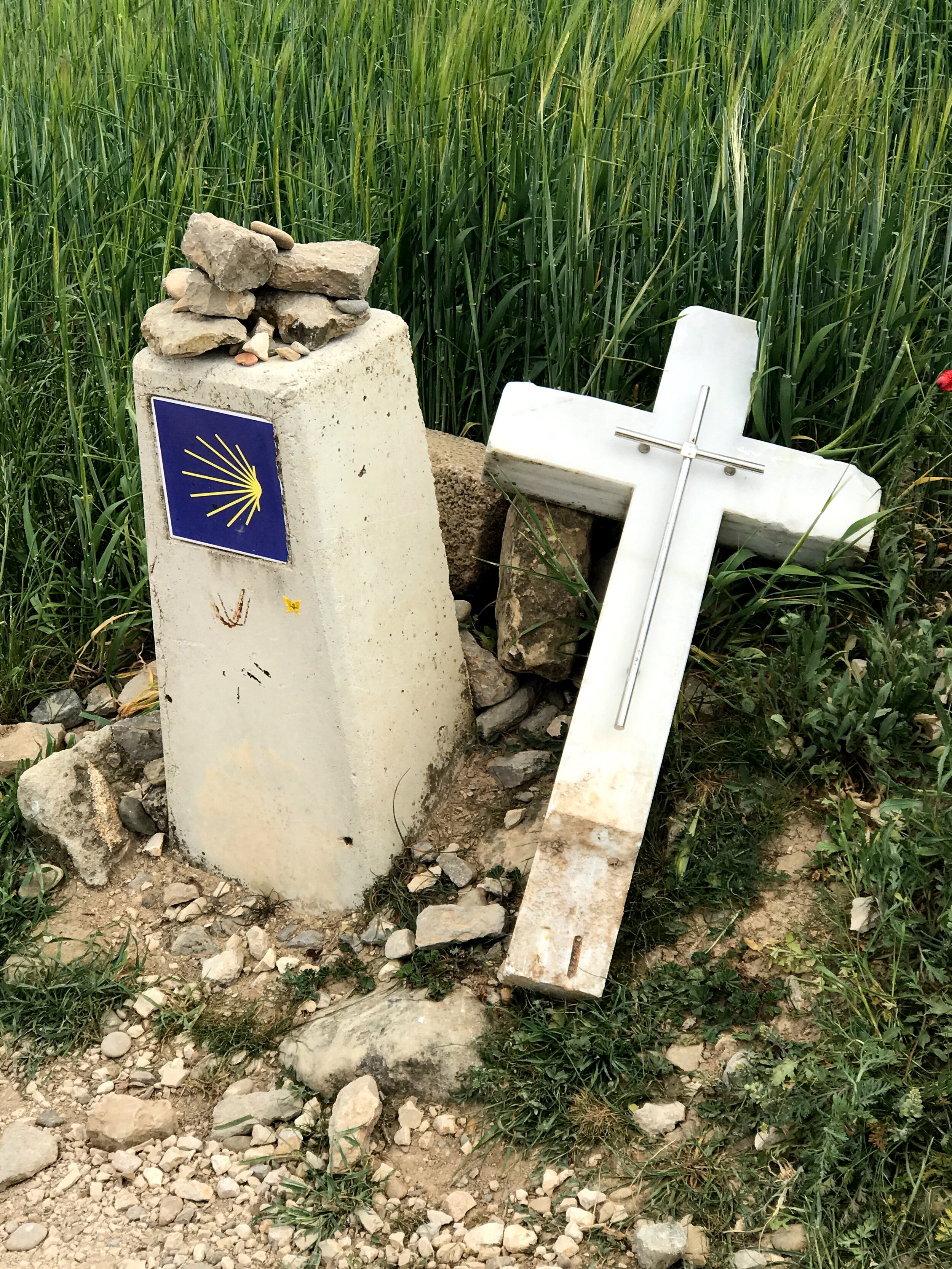 Day 7: Los Arcos - Viana, 18.5 km.