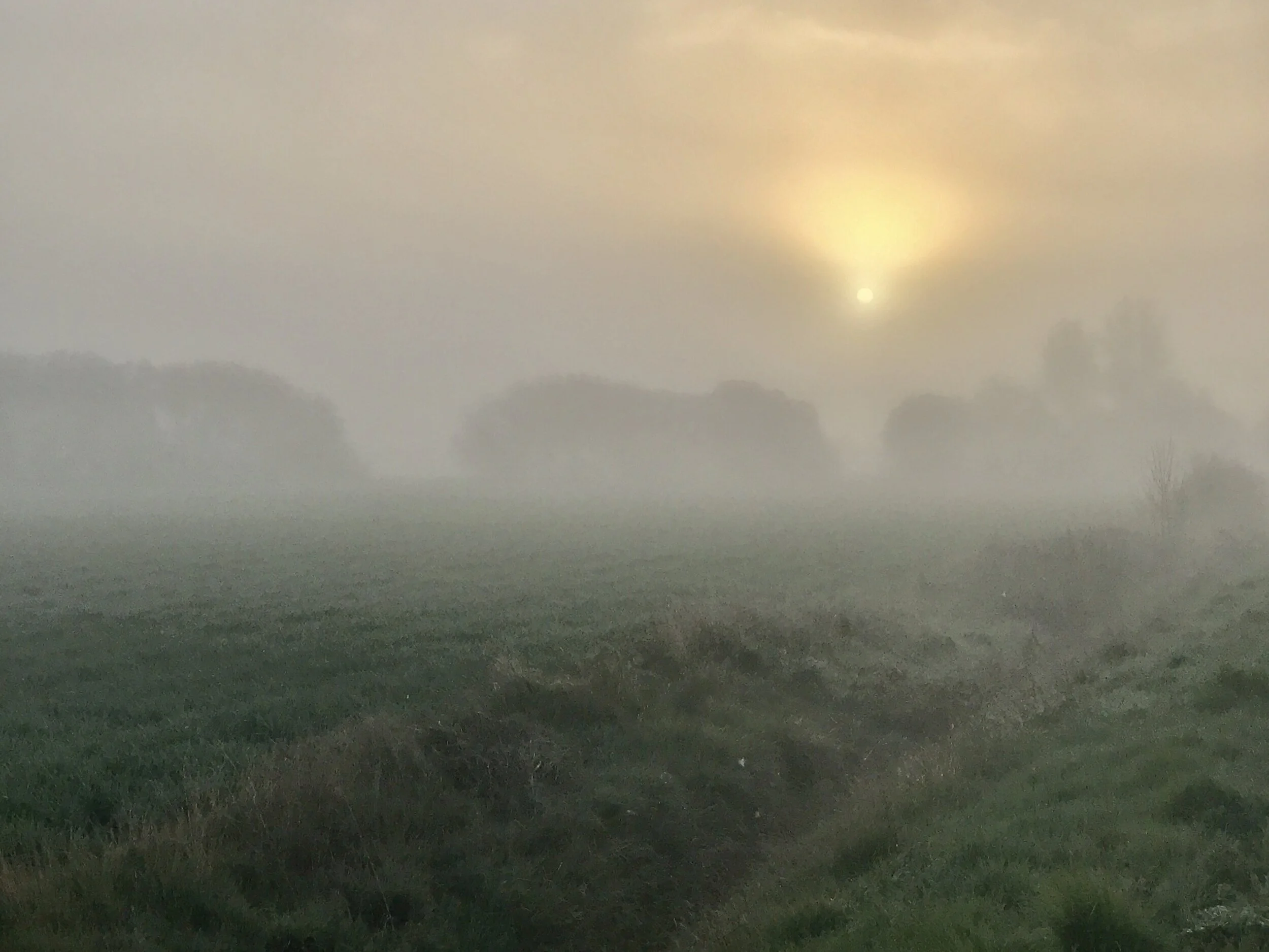 Day 13: Ages - Burgos, 22.5 km. 