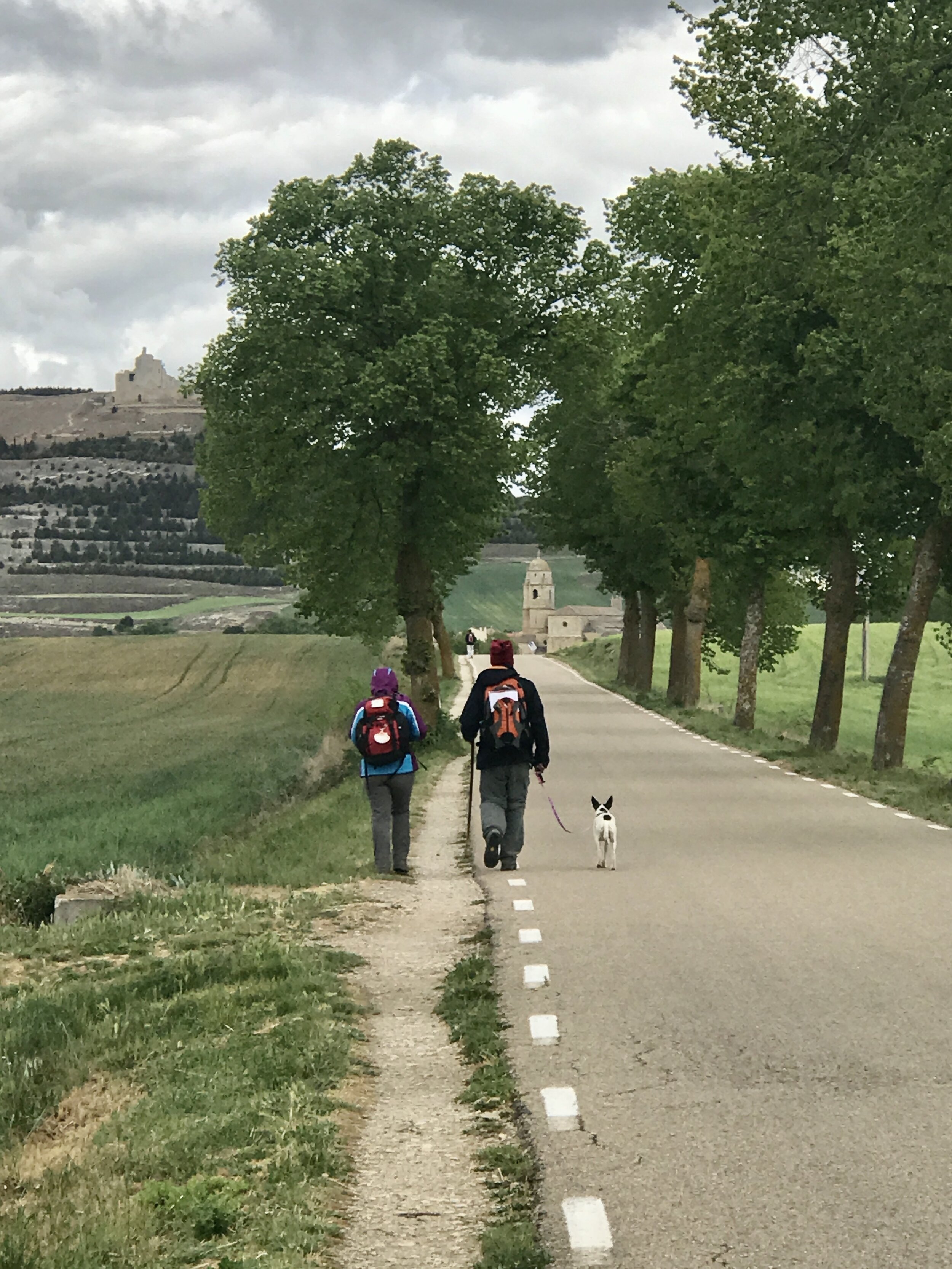 Day 16: Hornillos Del Camino - Castrojeriz, 20.1km.