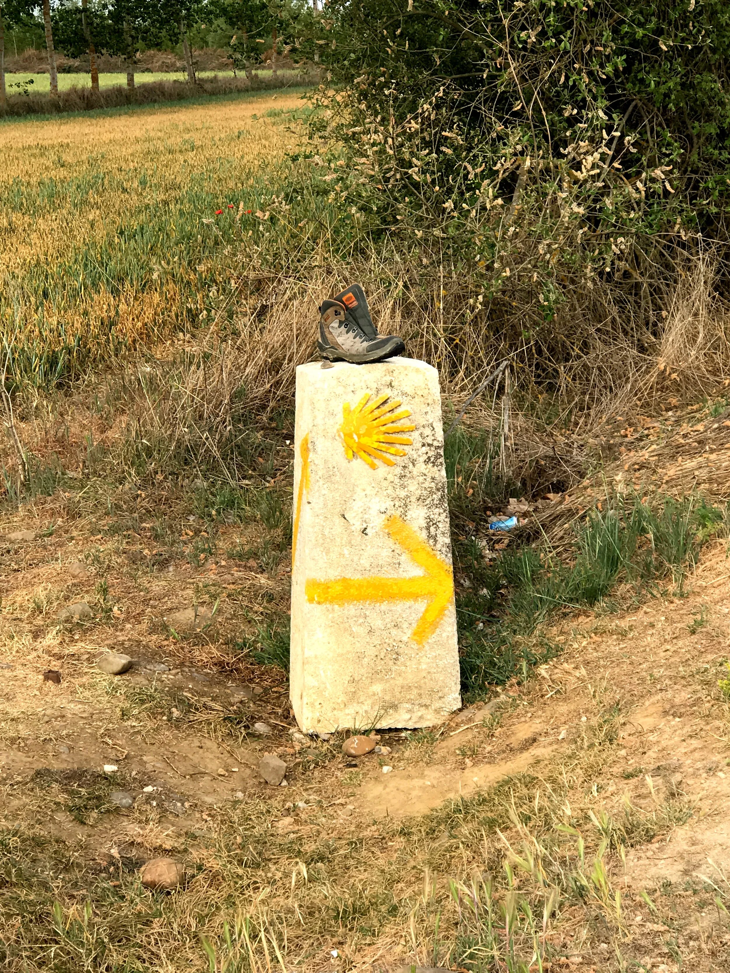 Day 19: Carrion de los Condes - Terradillos de Templarios, 26.8 km.