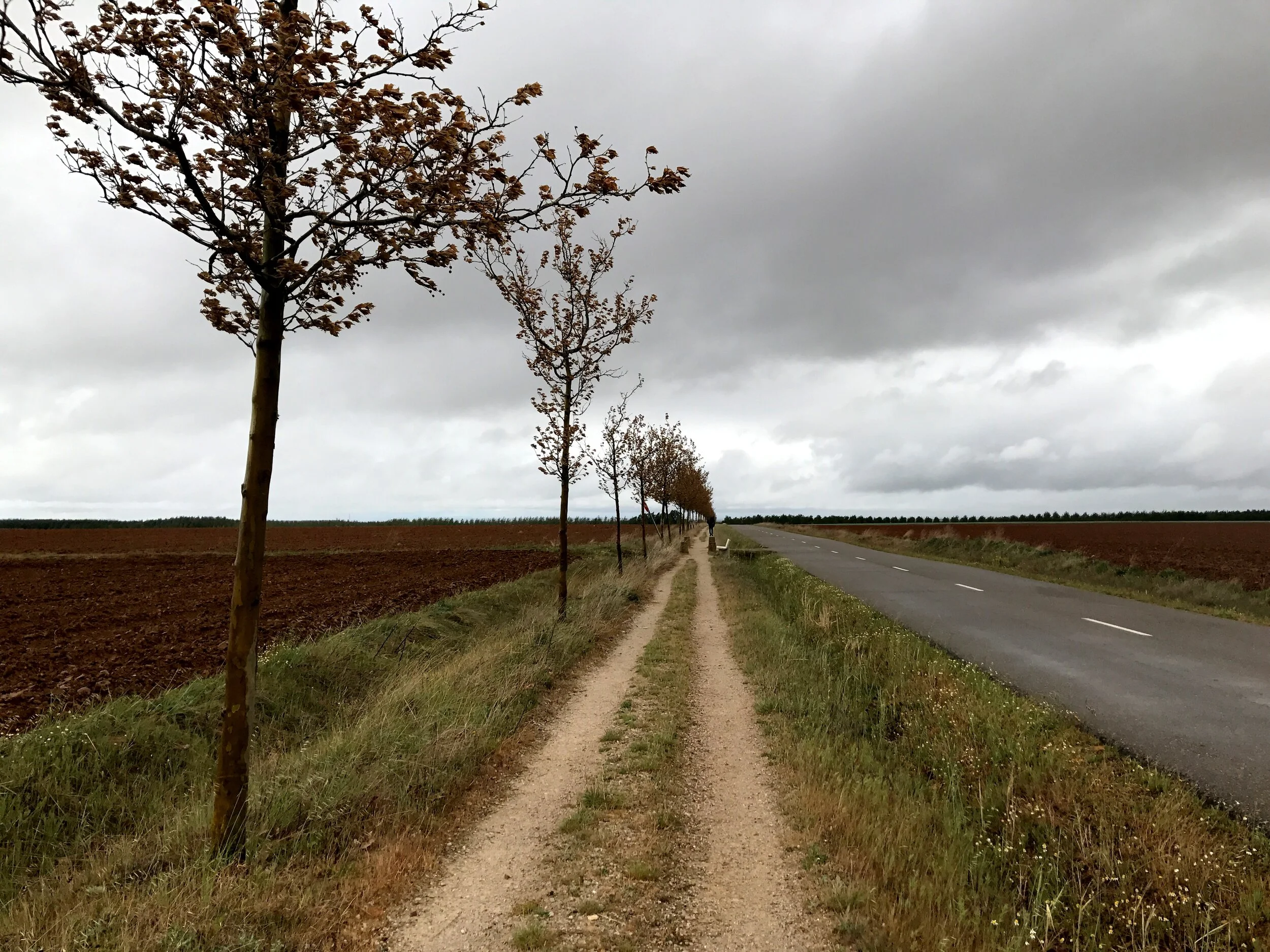 Day 21: Bercianos Del Real Camino - Mansilla de las Mulas, 26.7 km.
