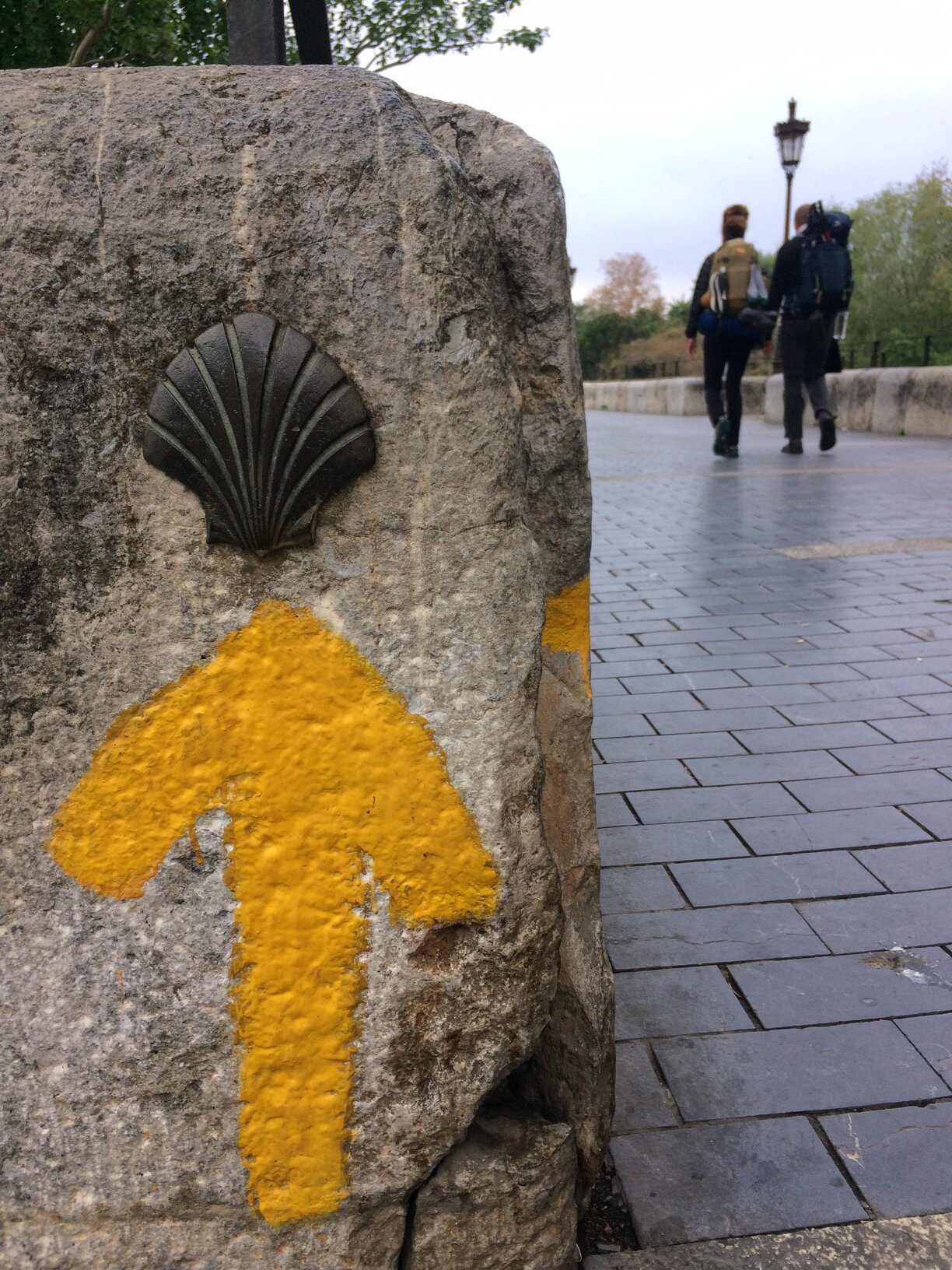 Day 24:  Leon - Villar de Mazarife, 21.8 km. 
