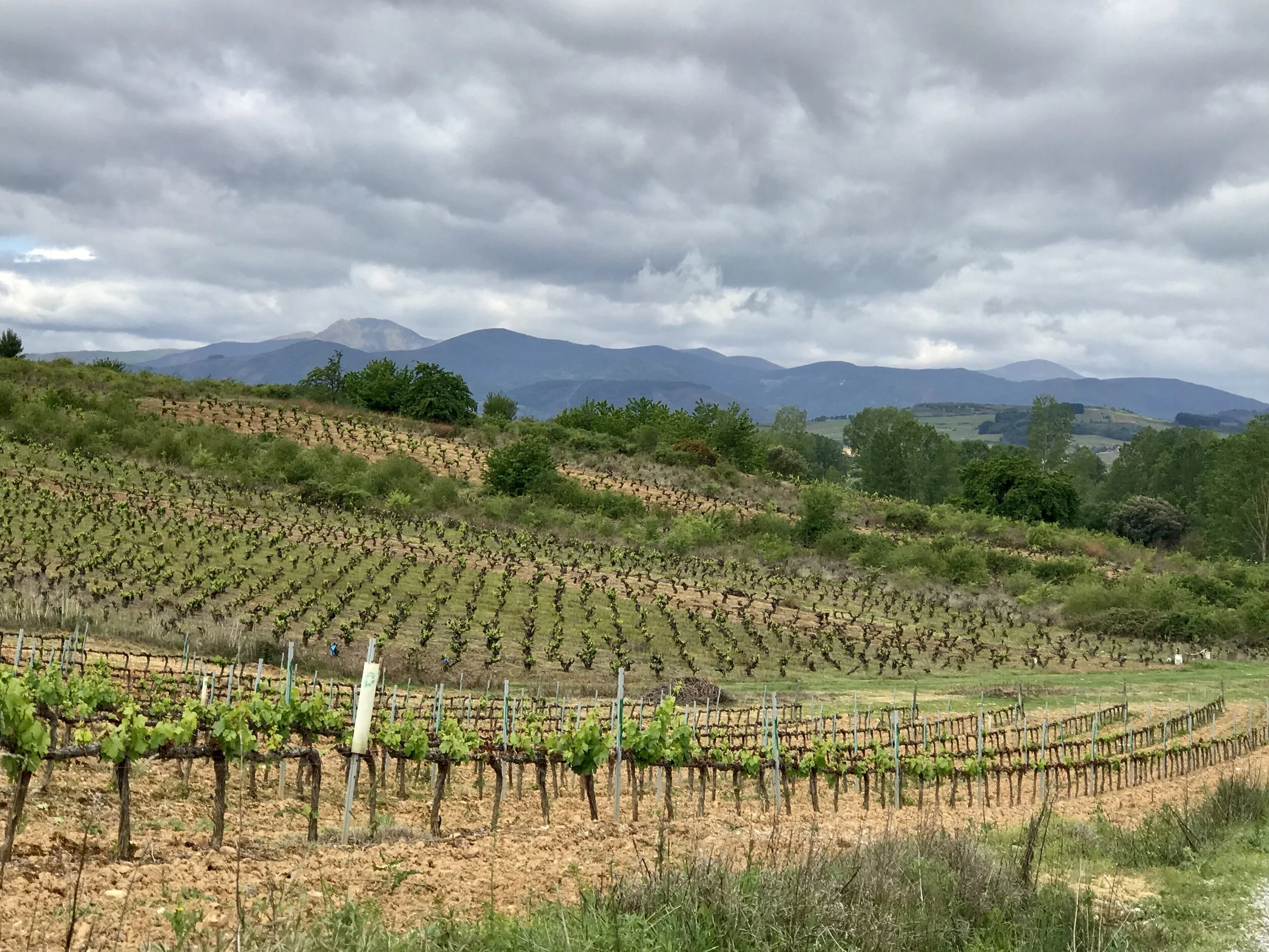 Day 29: Ponferrada - Villafranca del Bierzon, 23.4 km. 
