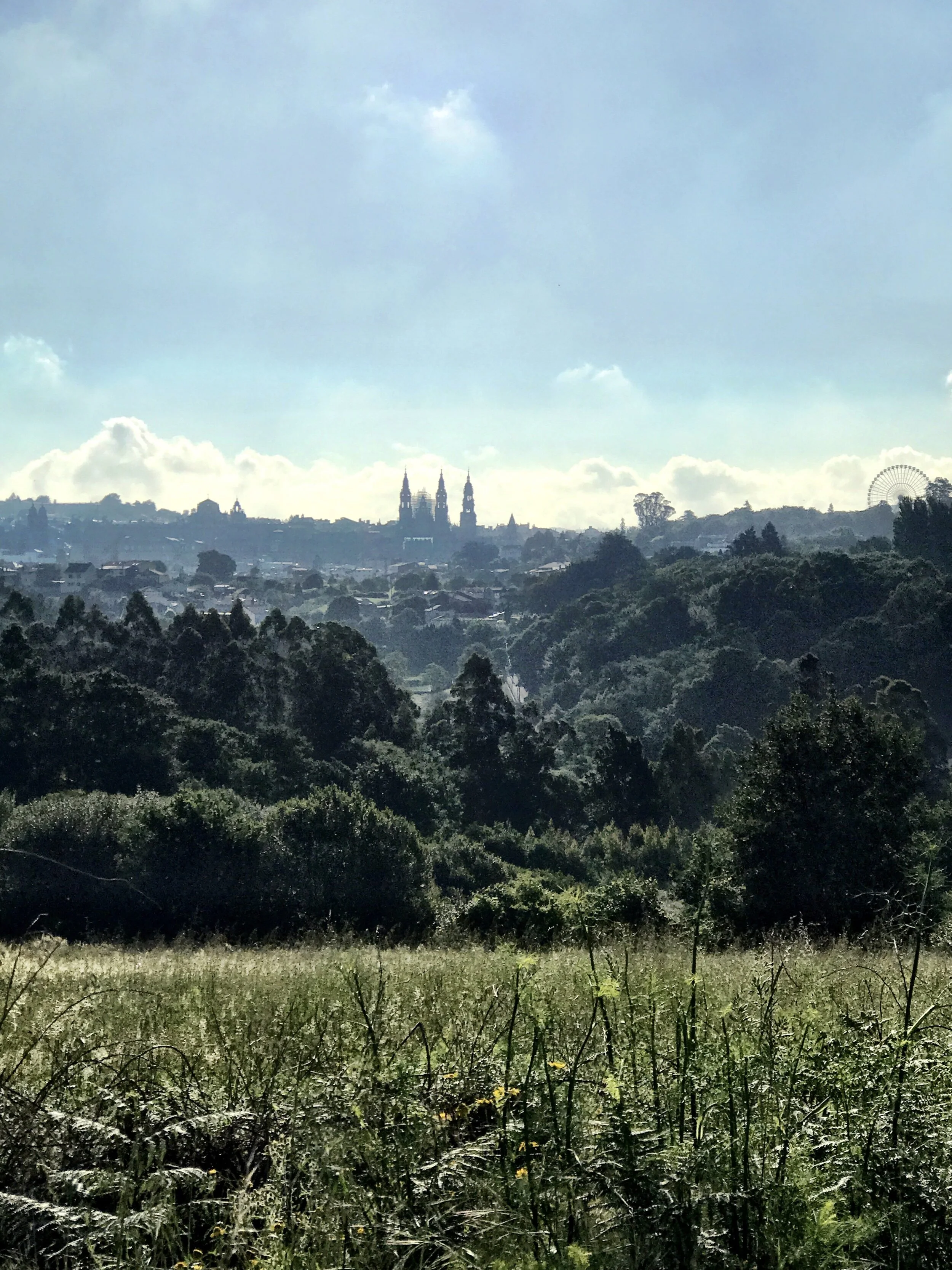 Day 40:&nbsp; Santiago - Vilaserío, 34.3 km. 