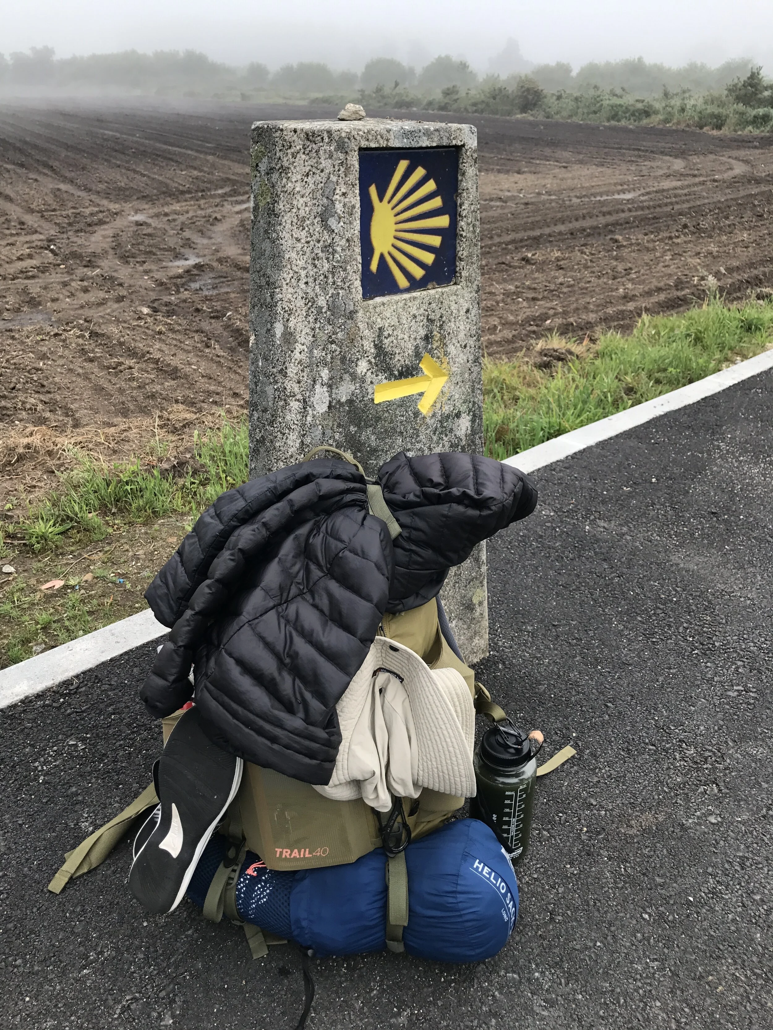 Day 41:&nbsp; Vilaserío - Logoso, 24.6 km. 