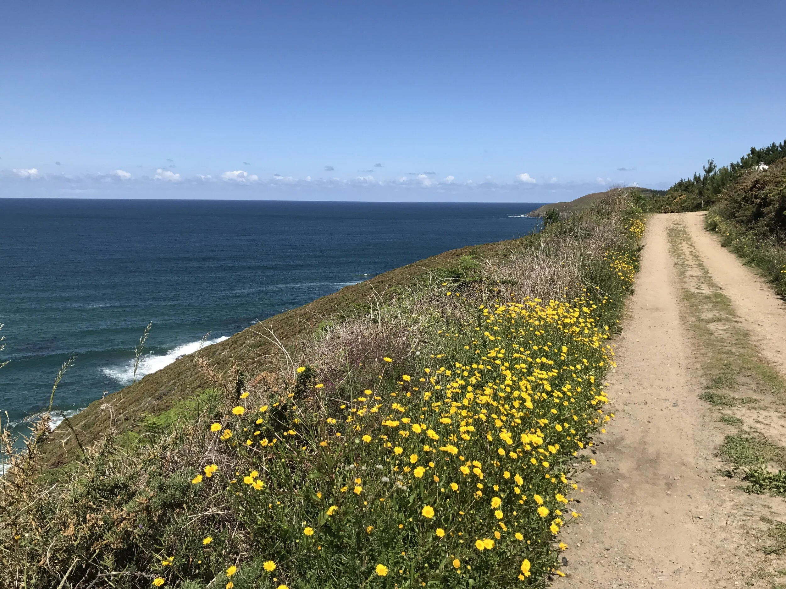 Day 44:&nbsp; Finisterre - Muxia, 31.4 km. 