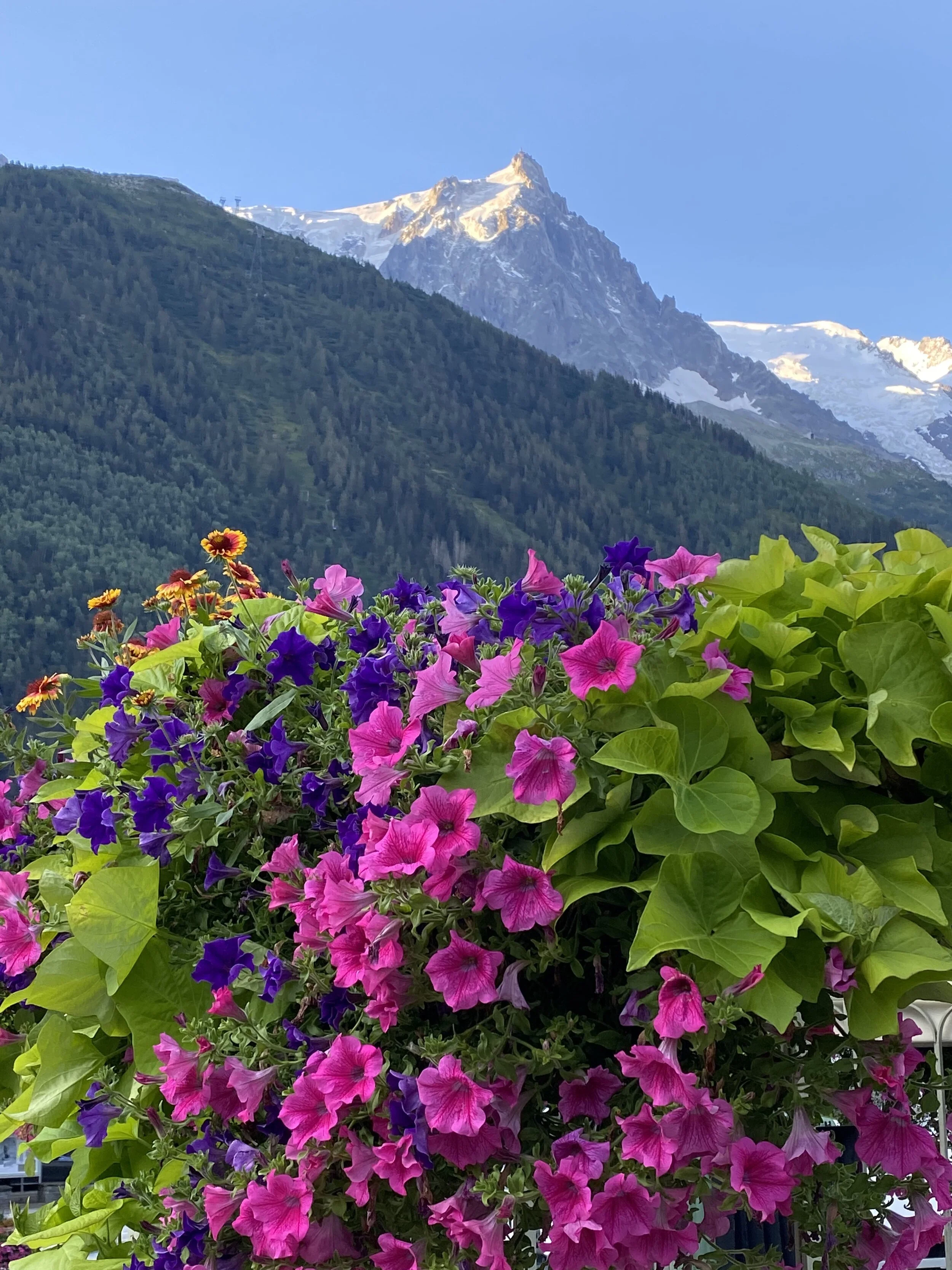 Chamonix’s Town Center