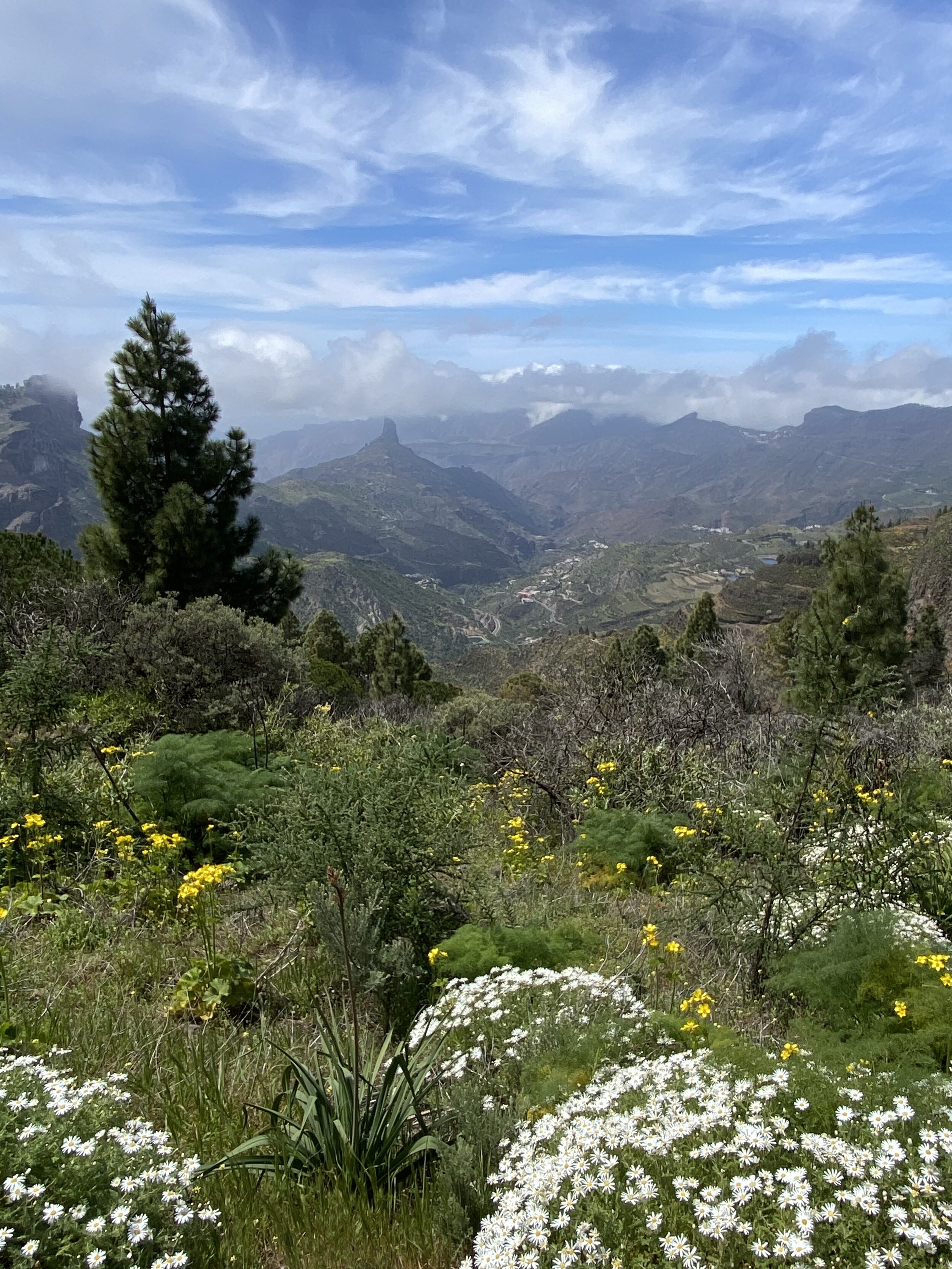 Gran Canaria Hike #5 (part 2): Pico de las Nieves-La Lechuza