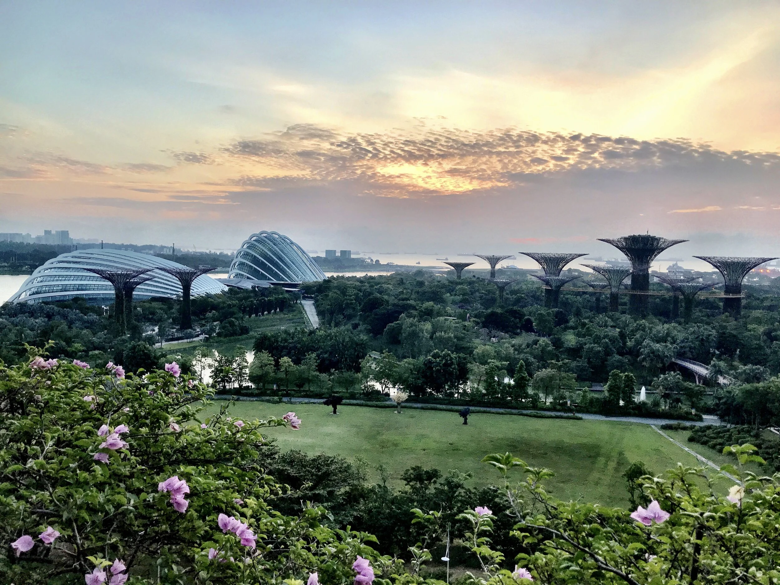 Singapore Gardens by the Bay