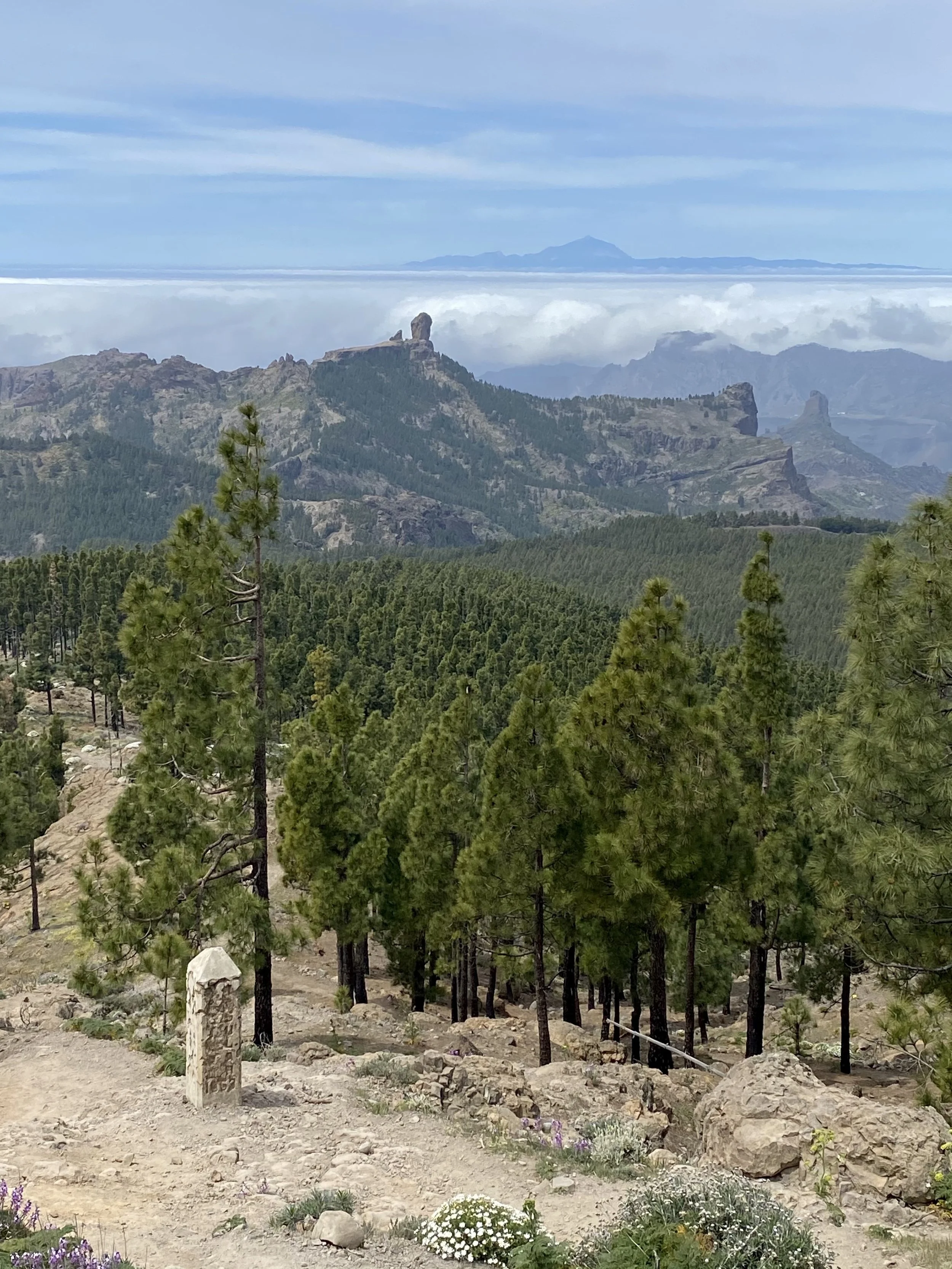 Gran Canaria Hike #5 (part 1): Tejeda to Pico de las Nieves