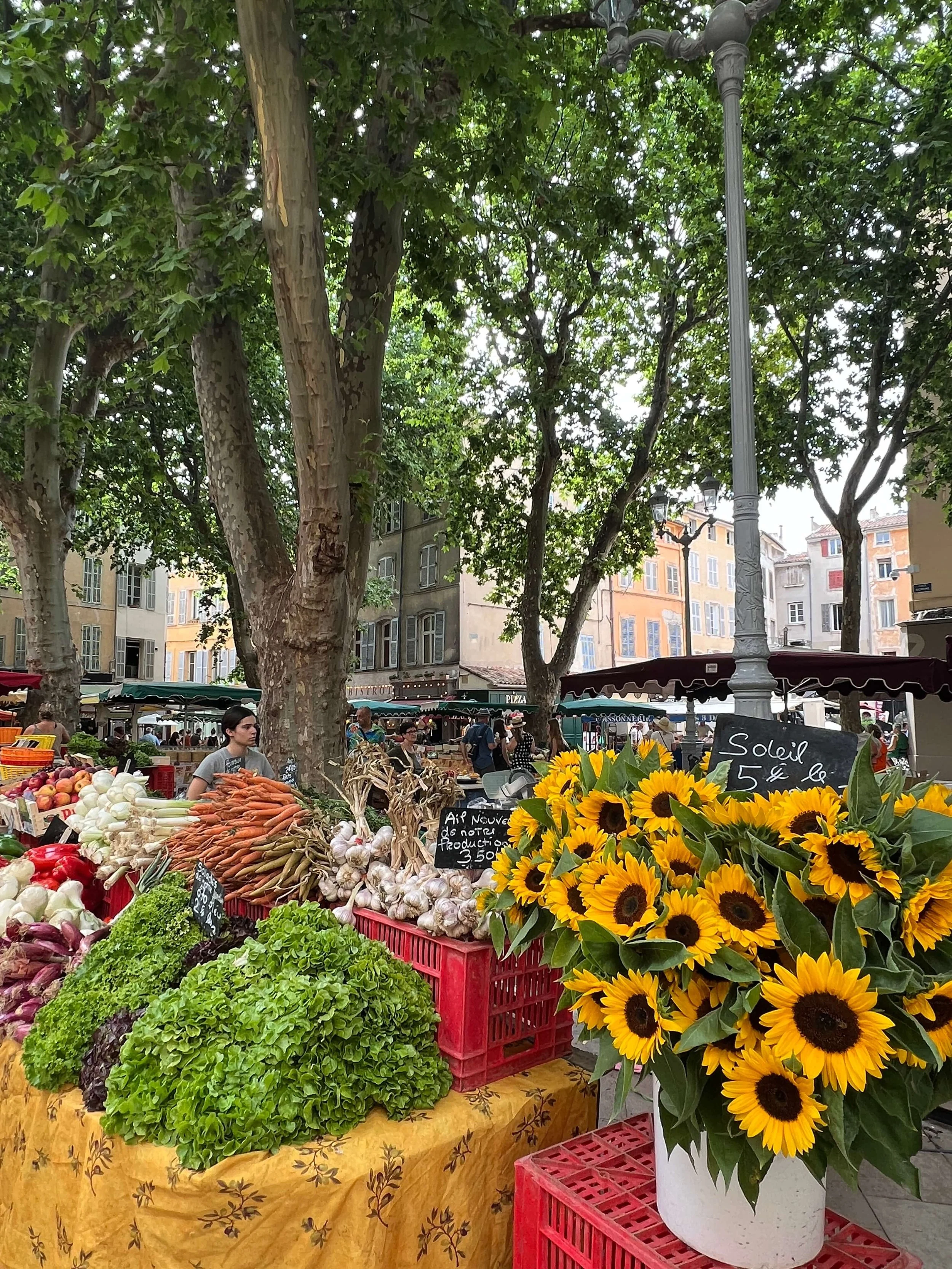 Aix-en-Provence:  The Markets