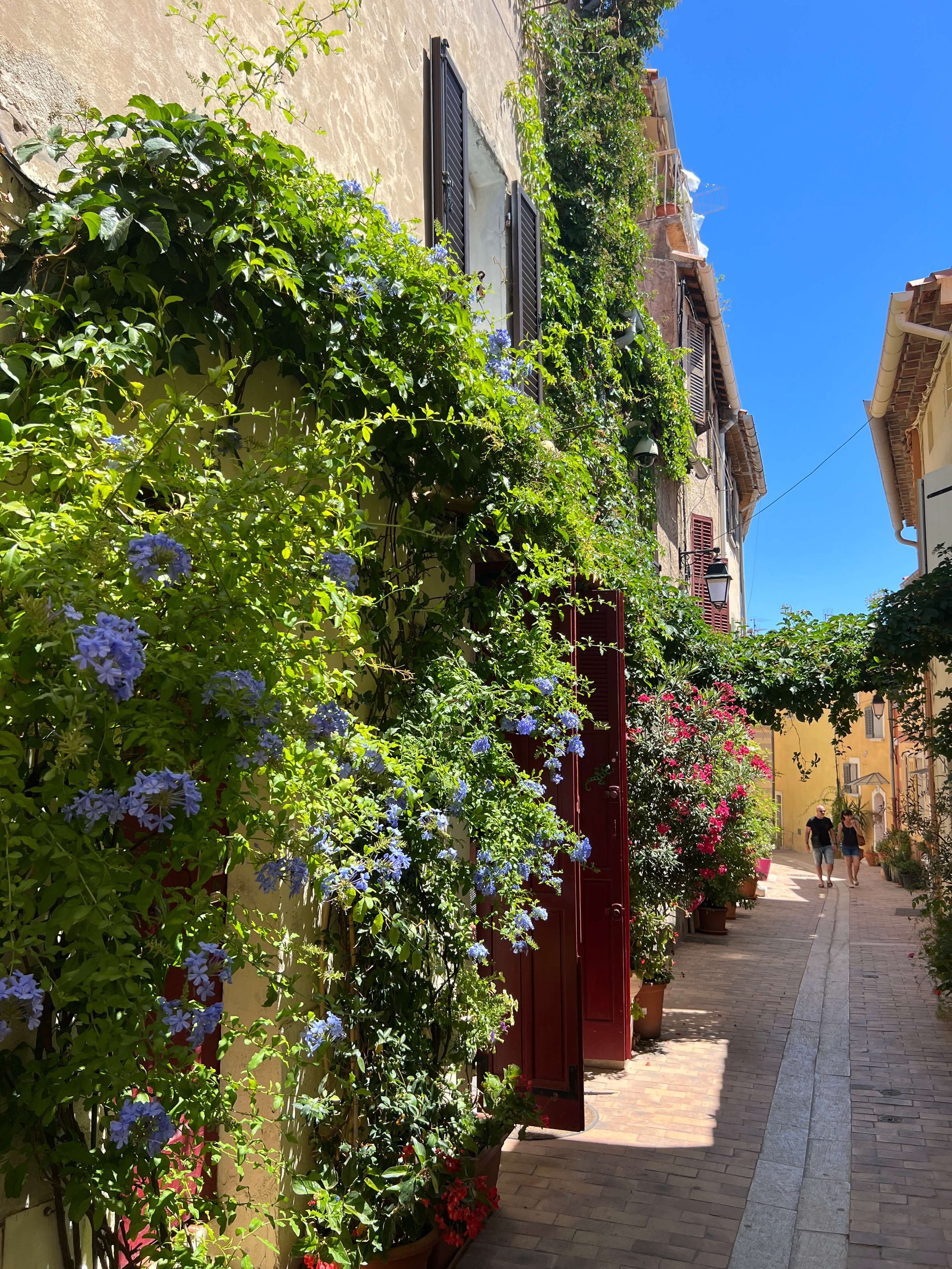 Cassis: Charming Alleyways &amp; Markets