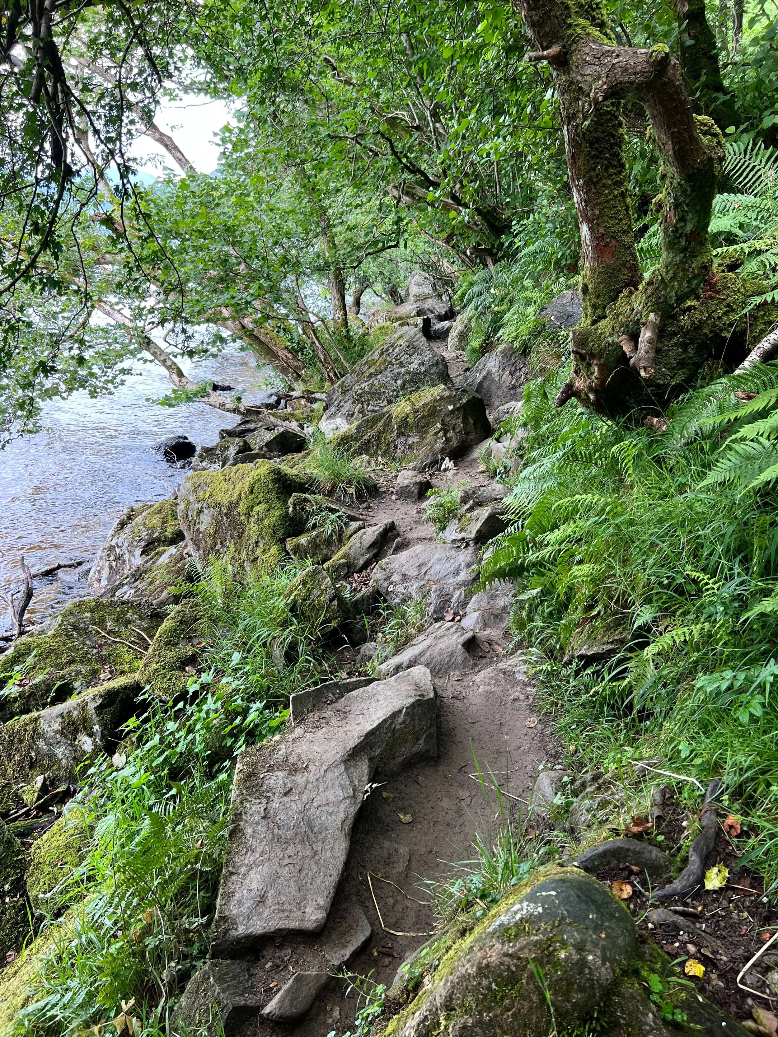 The West Highland Way Day 3: Rowardennan to Inverarnan
