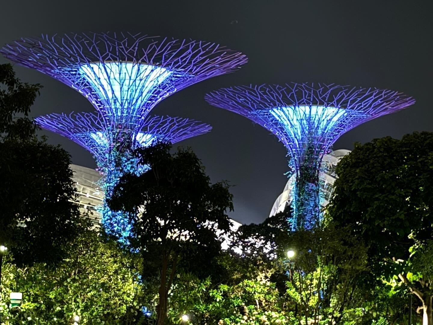 Gardens by the Bay (post 1), Singapore:  Being a city-state, Singapore is a highly urbanized country. For this reason, the government approved the project to increase the greenery and flora in the city.  It was announced back in 2005 by Prime Ministe